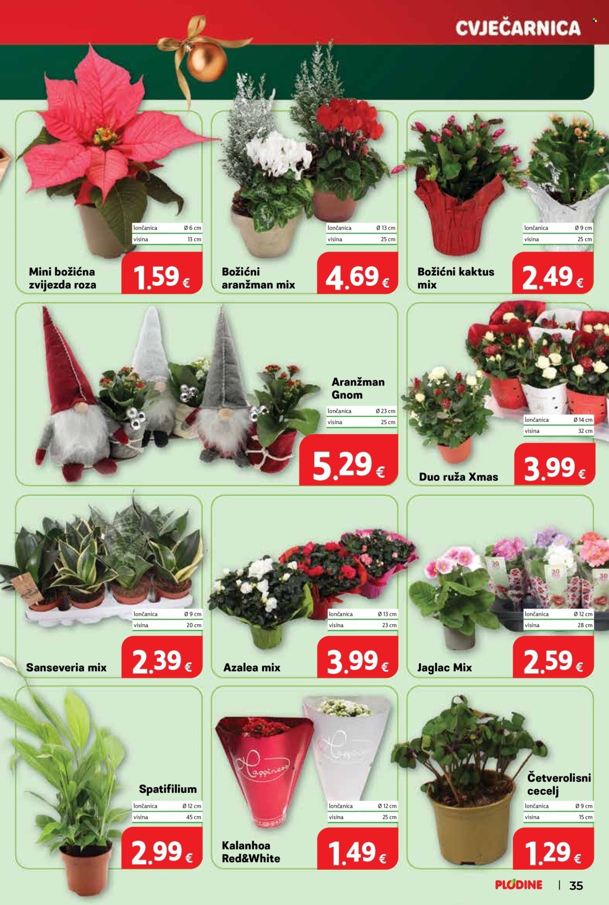 PLODINE katalog - OTVORENJE DRENOVA