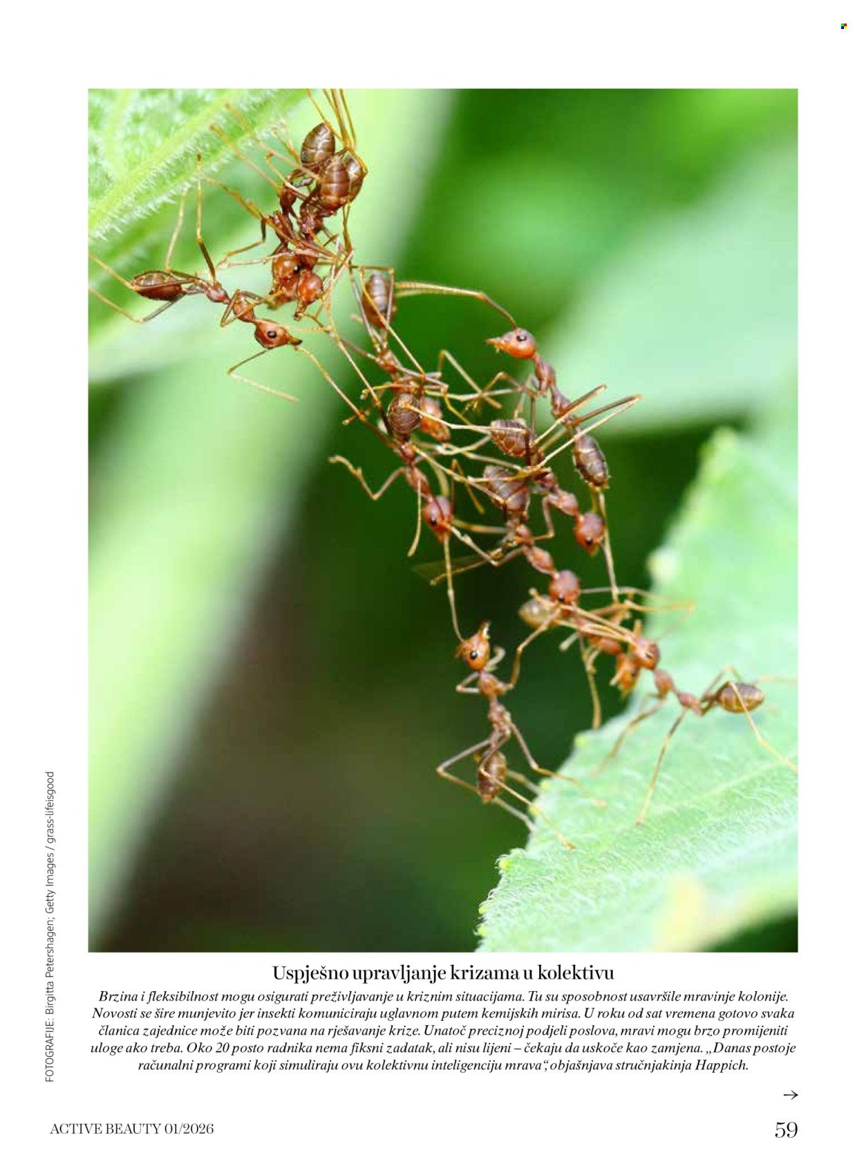 DM katalog - ACTIVE BEAUTY časopis