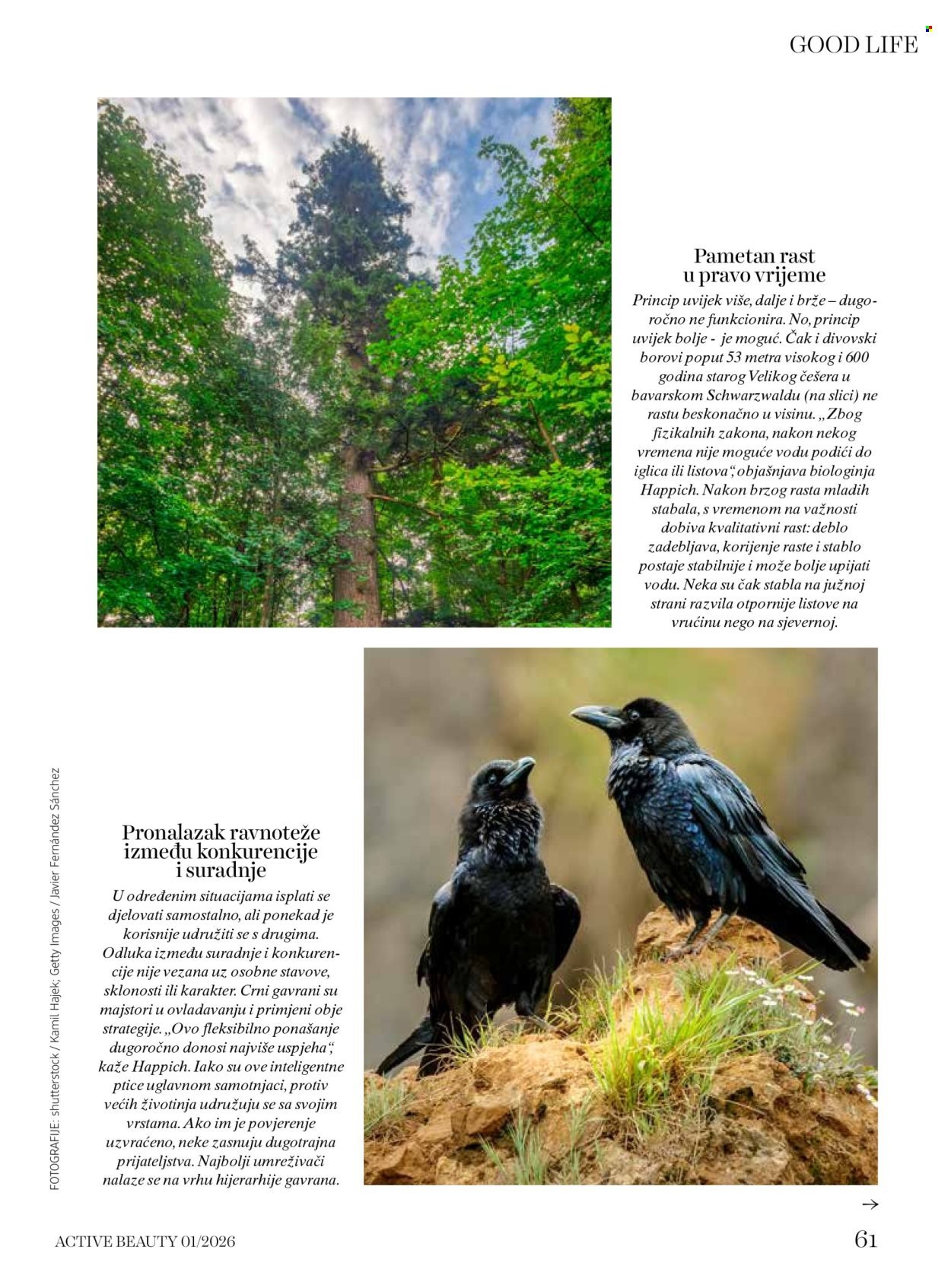 DM katalog - ACTIVE BEAUTY časopis