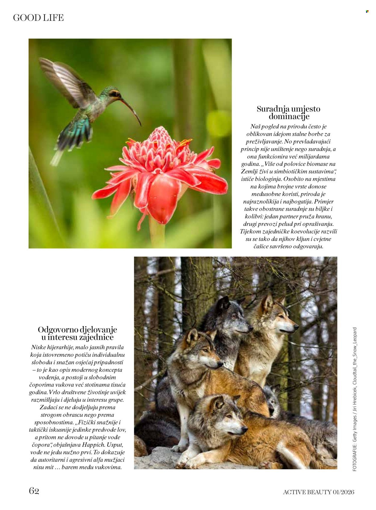 DM katalog - ACTIVE BEAUTY časopis