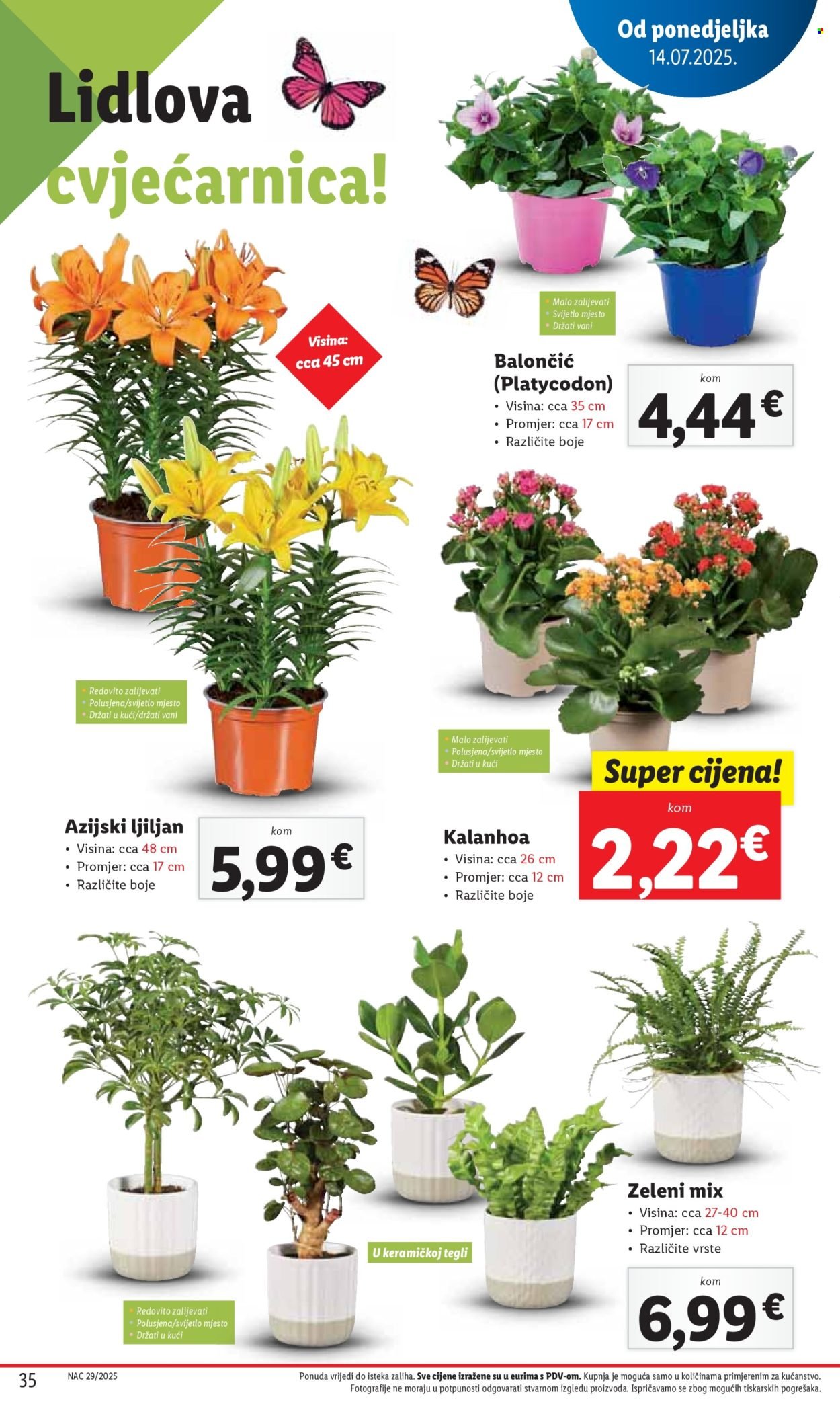 LIDL katalog - Od četvrtka 17.07.2025.