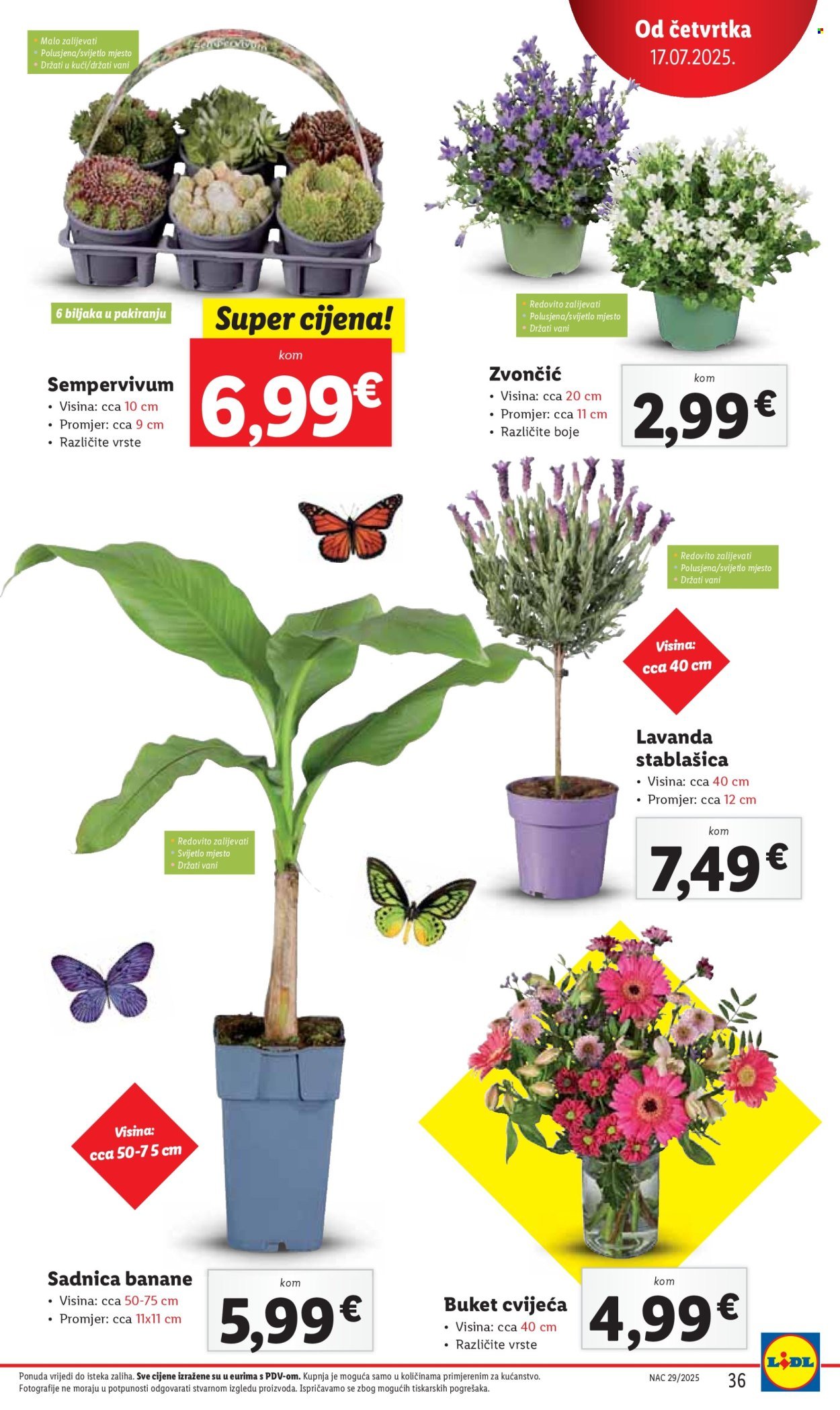 LIDL katalog - Od četvrtka 17.07.2025.