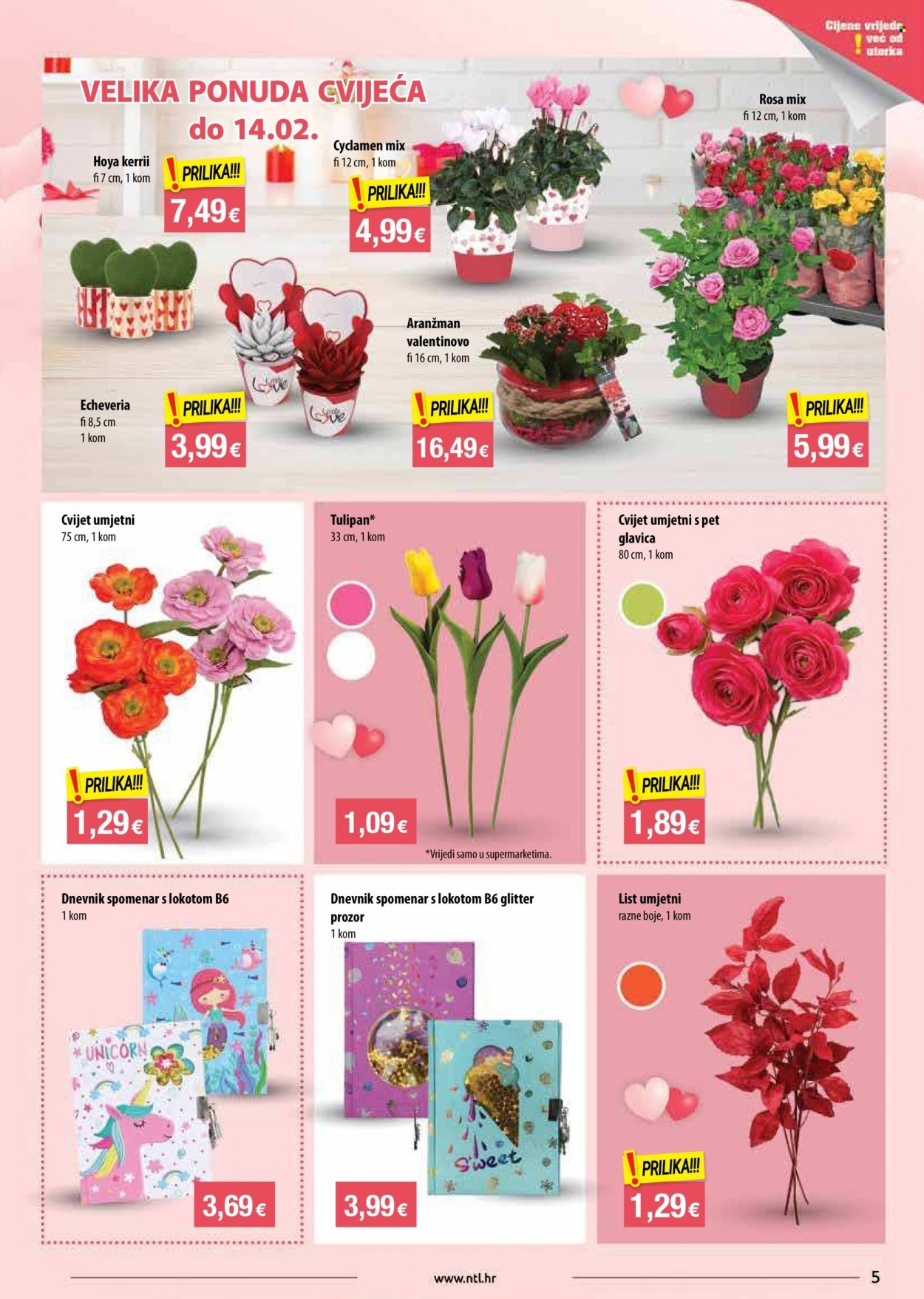 NTL katalog - Od srijede 11.02.2026.