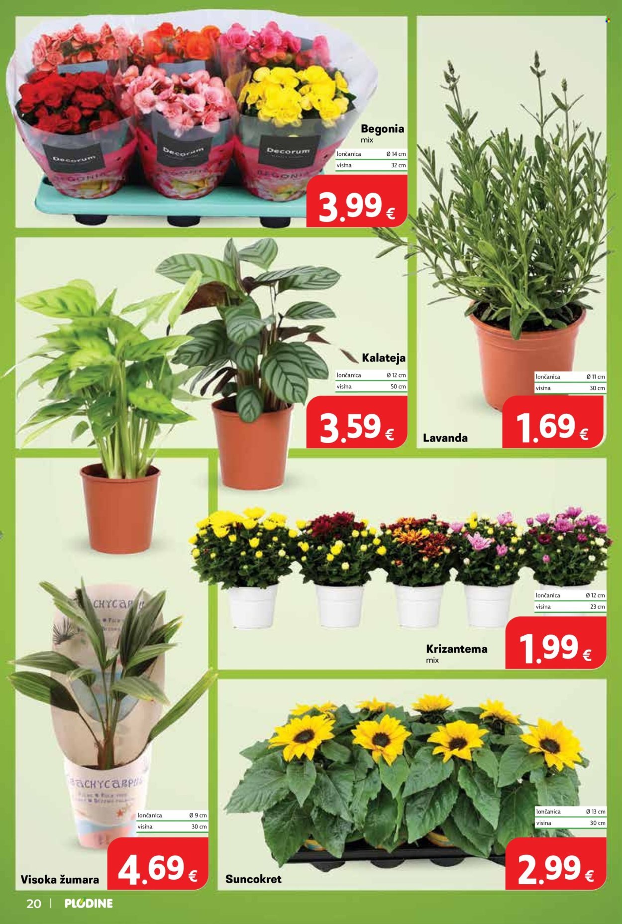 PLODINE katalog - Uvijek od akcije