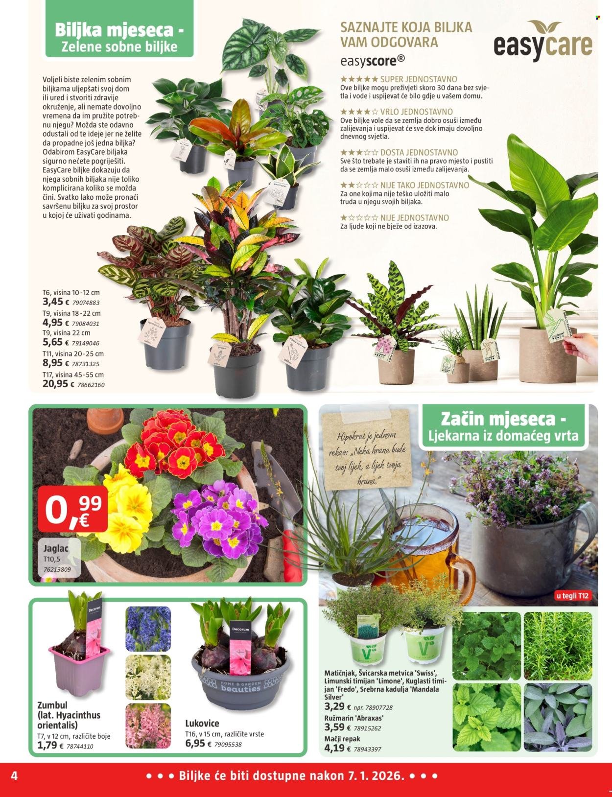 BAUHAUS katalog - Letak Siječanj 2026.