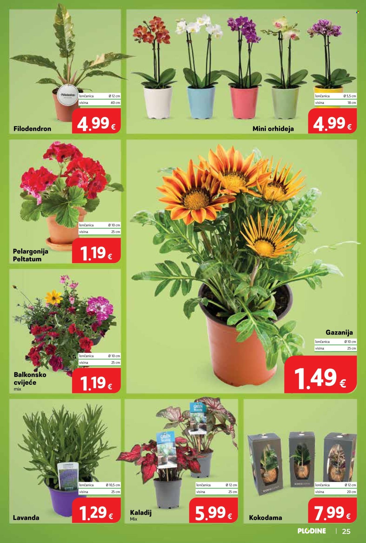 PLODINE katalog - Od srijede 03.06.2026.
