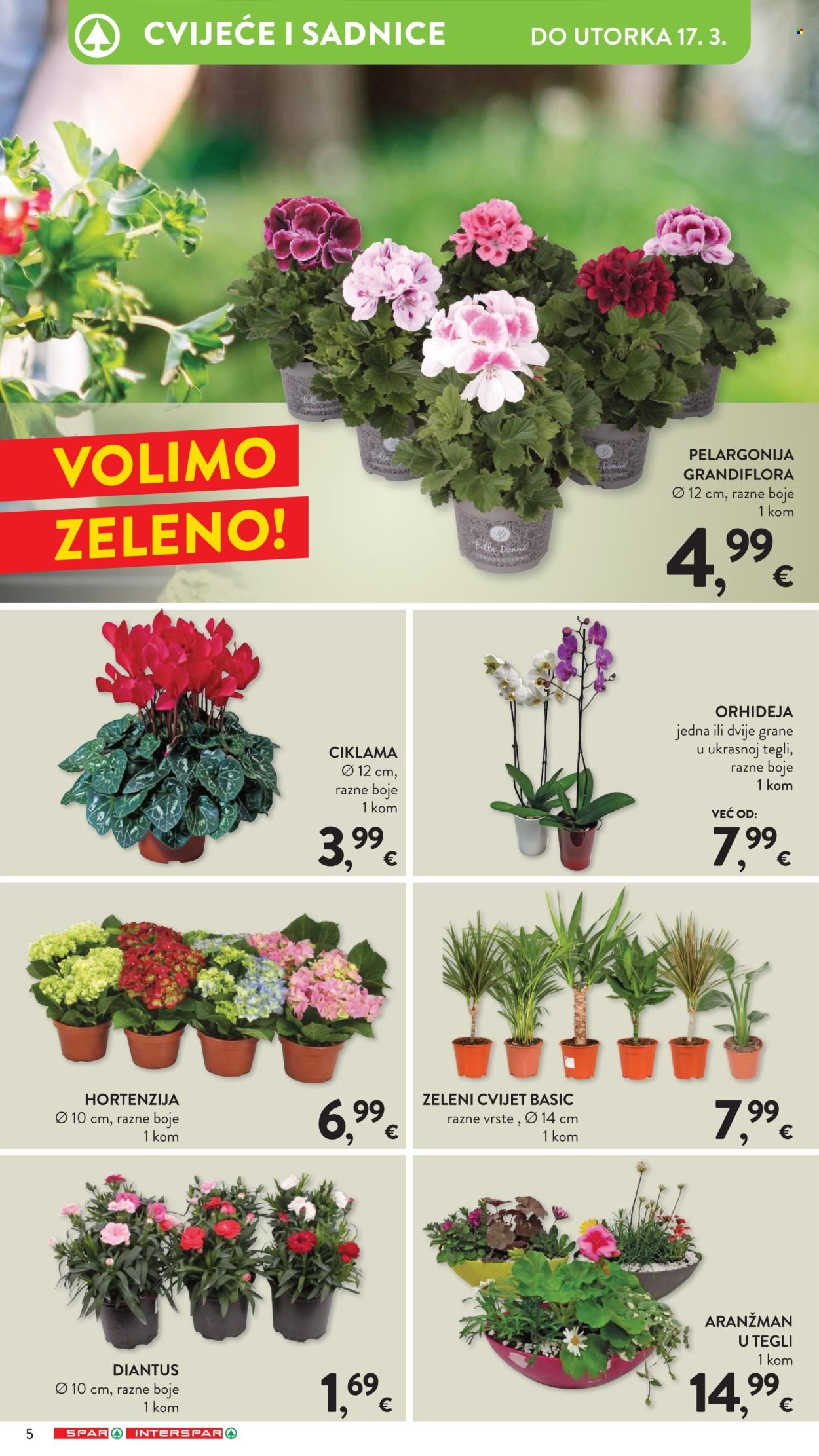 INTERSPAR katalog - INTERSPAR katalog proljeće