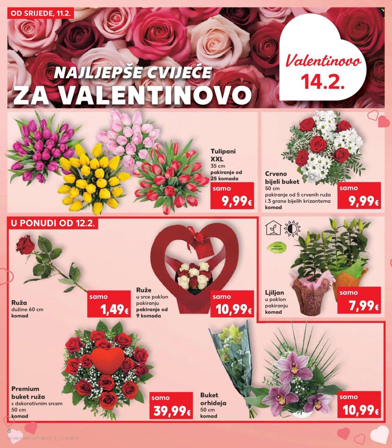 KAUFLAND katalog - Od srijede 11.02.2026.