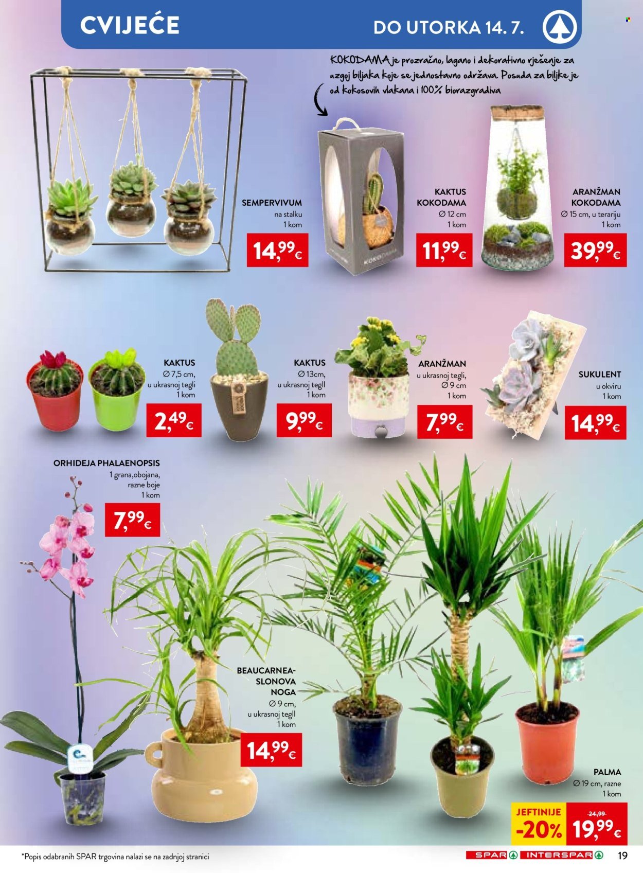 SPAR katalog - Tvoje ljeto, naša strast