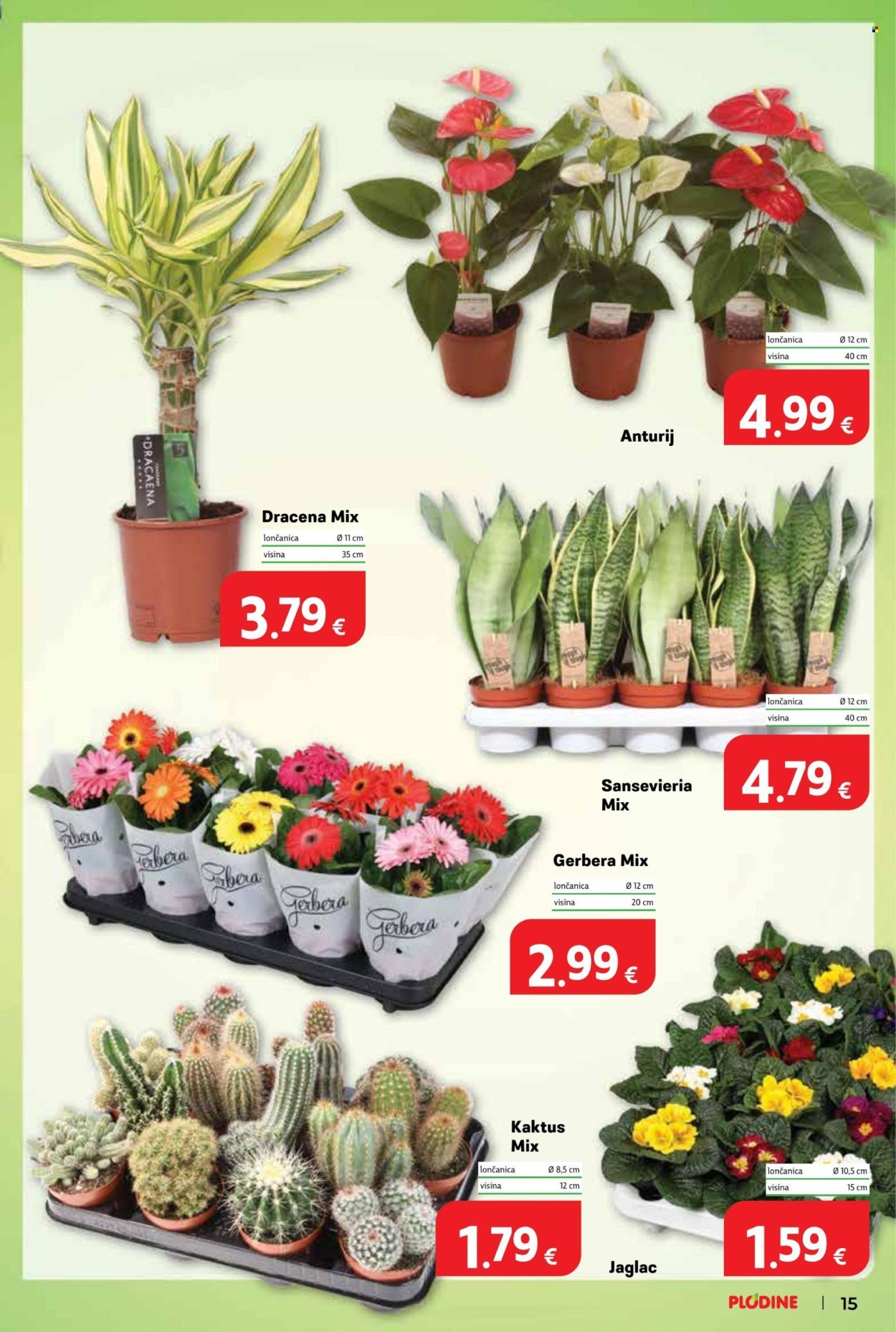 PLODINE katalog - Od petka 02.01.2026.