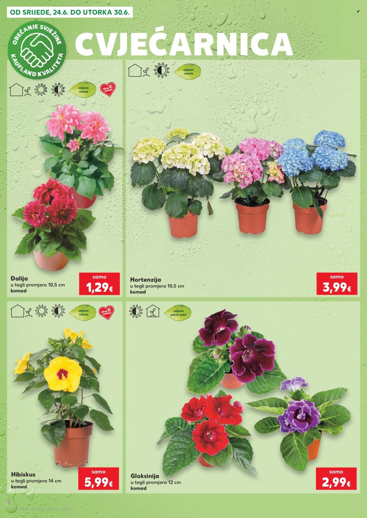 KAUFLAND katalog - Od srijede 24.06.2026.