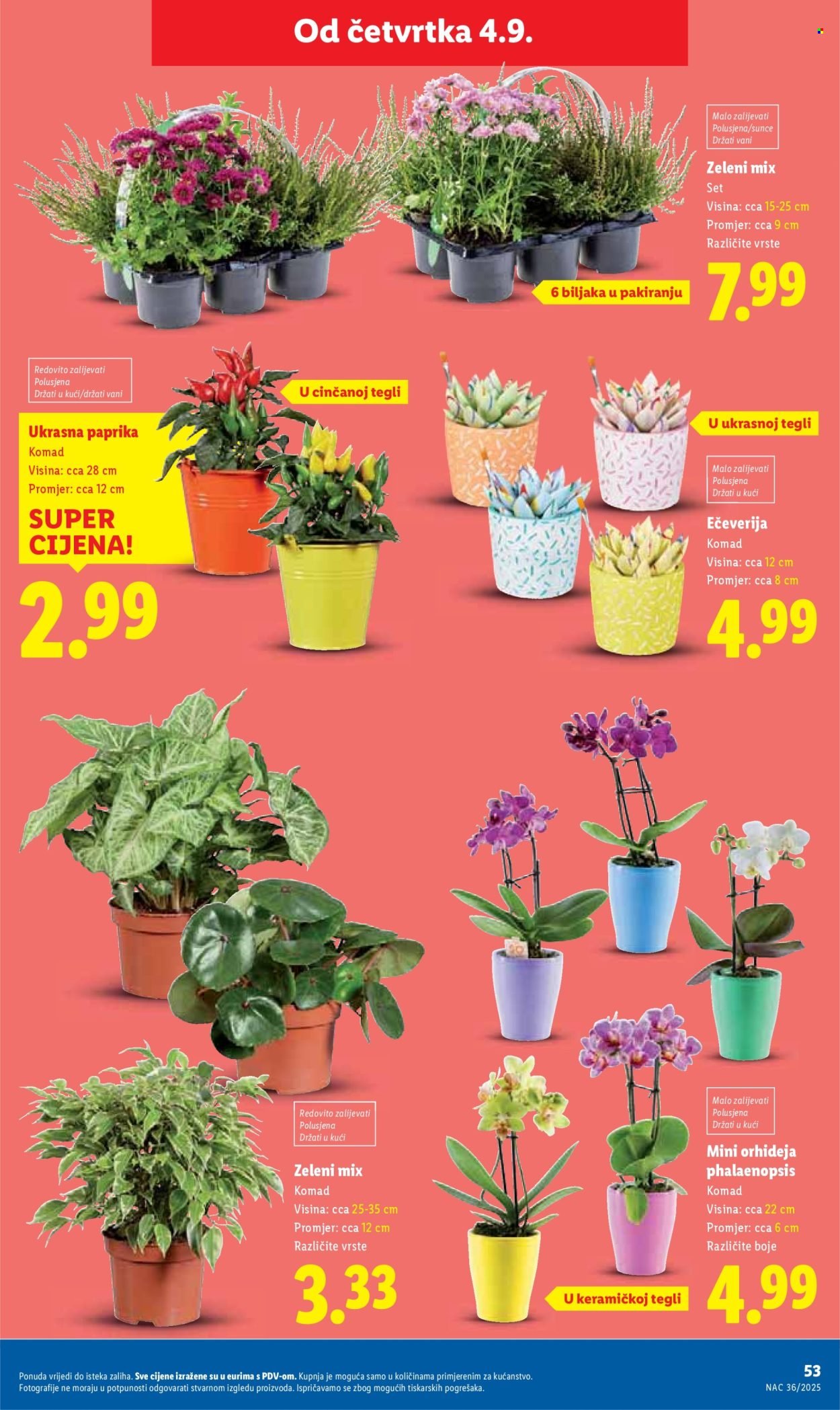 LIDL katalog - Od ponedeljka 01.09.2025.