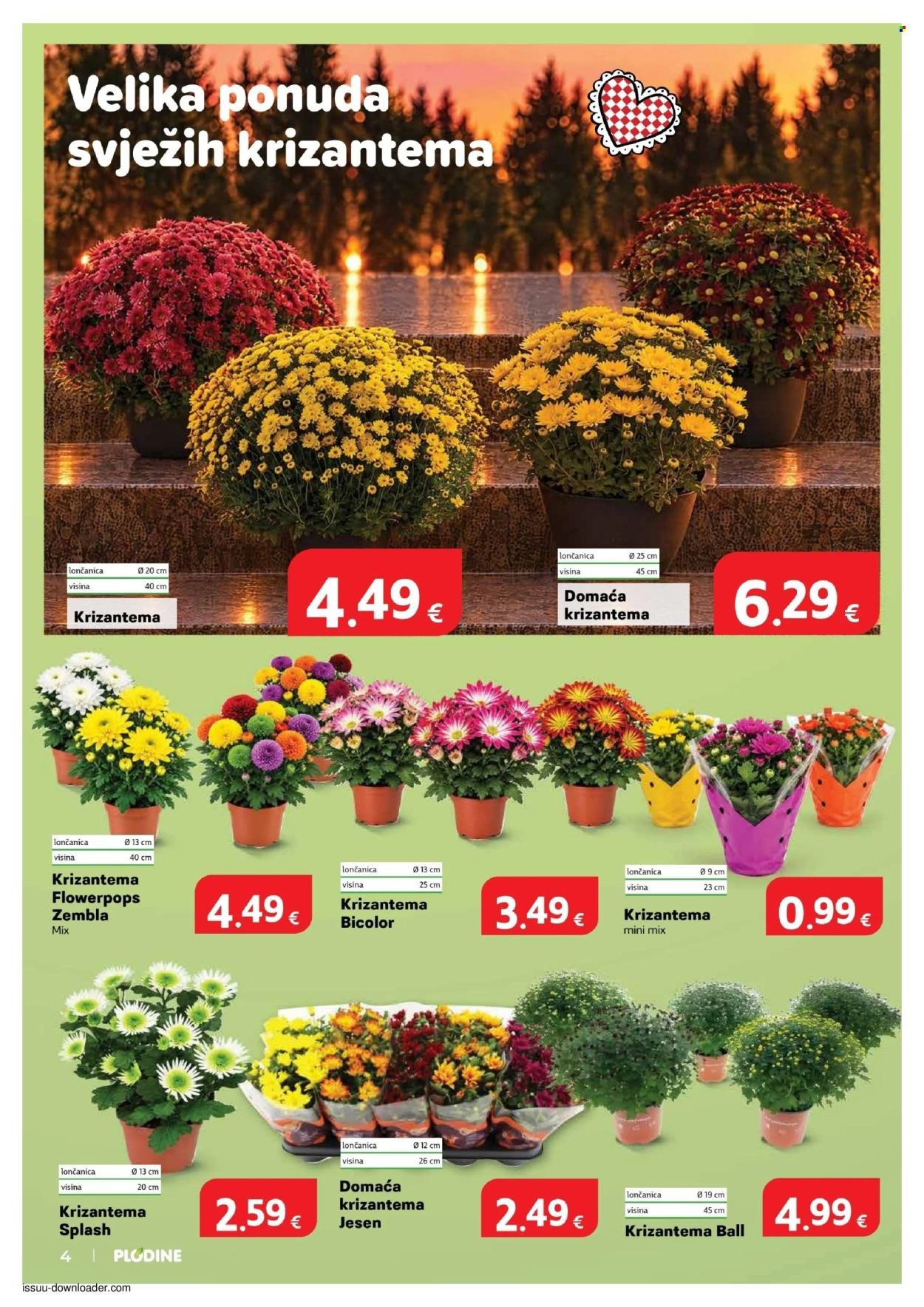 PLODINE katalog - Od nedjelje 11.10.2026.