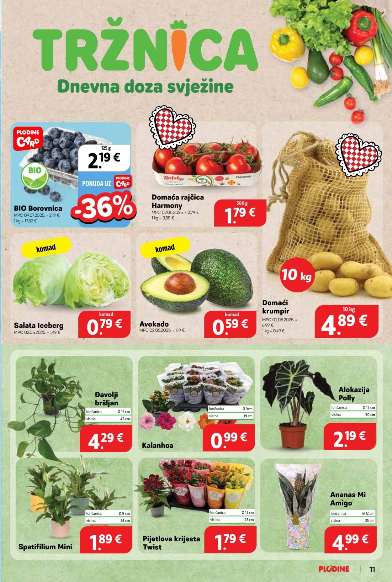 PLODINE katalog - Od srijede 06.08.2025.