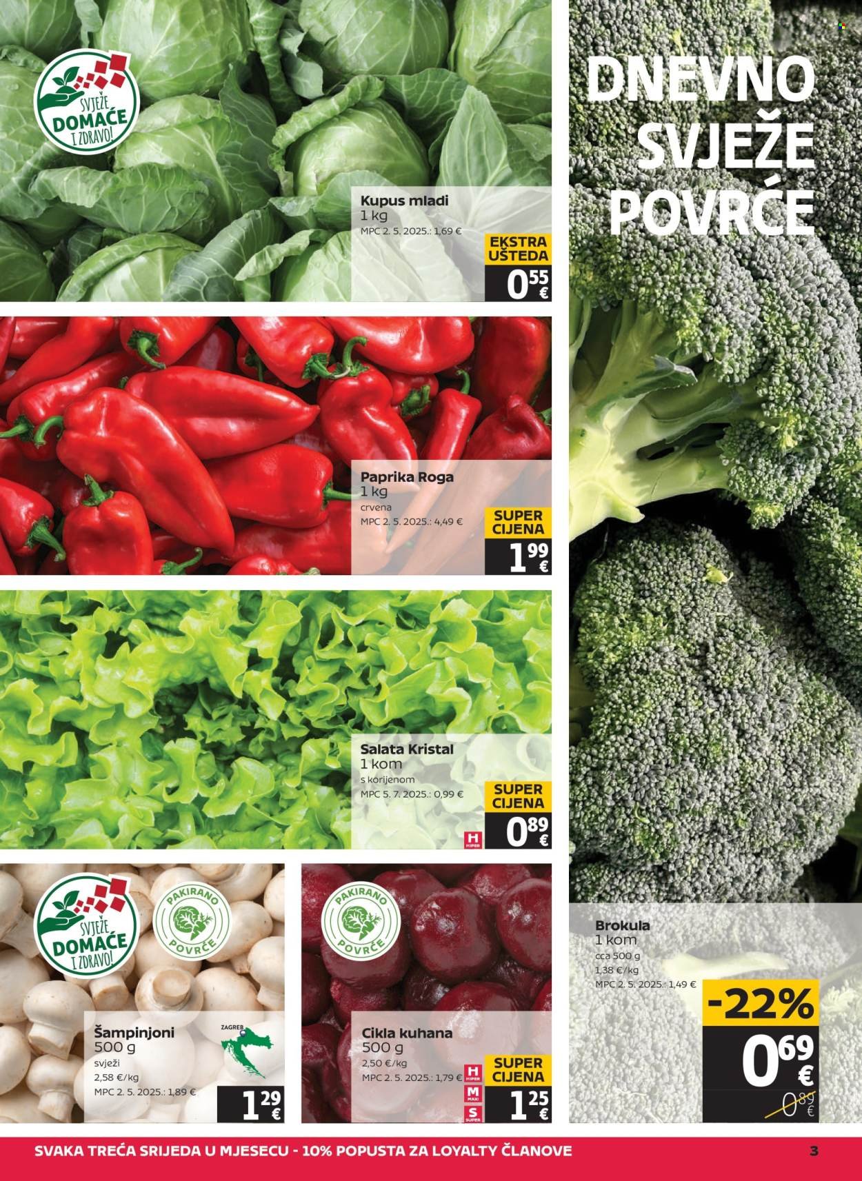 TOMMY katalog - Akcijski katalog