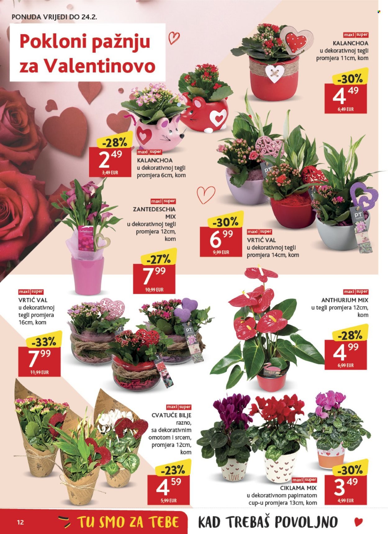 KONZUM katalog - Od srijede 11.02.2026.