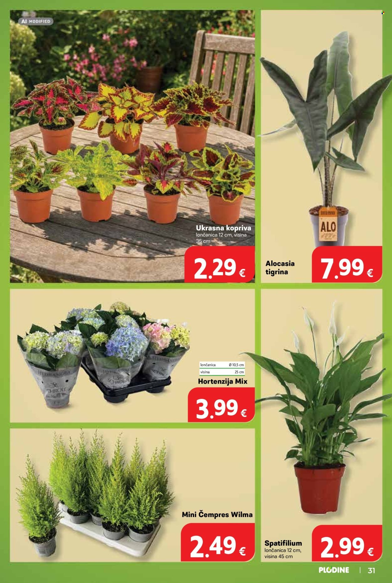 PLODINE katalog - Od srijede 02.09.2026.