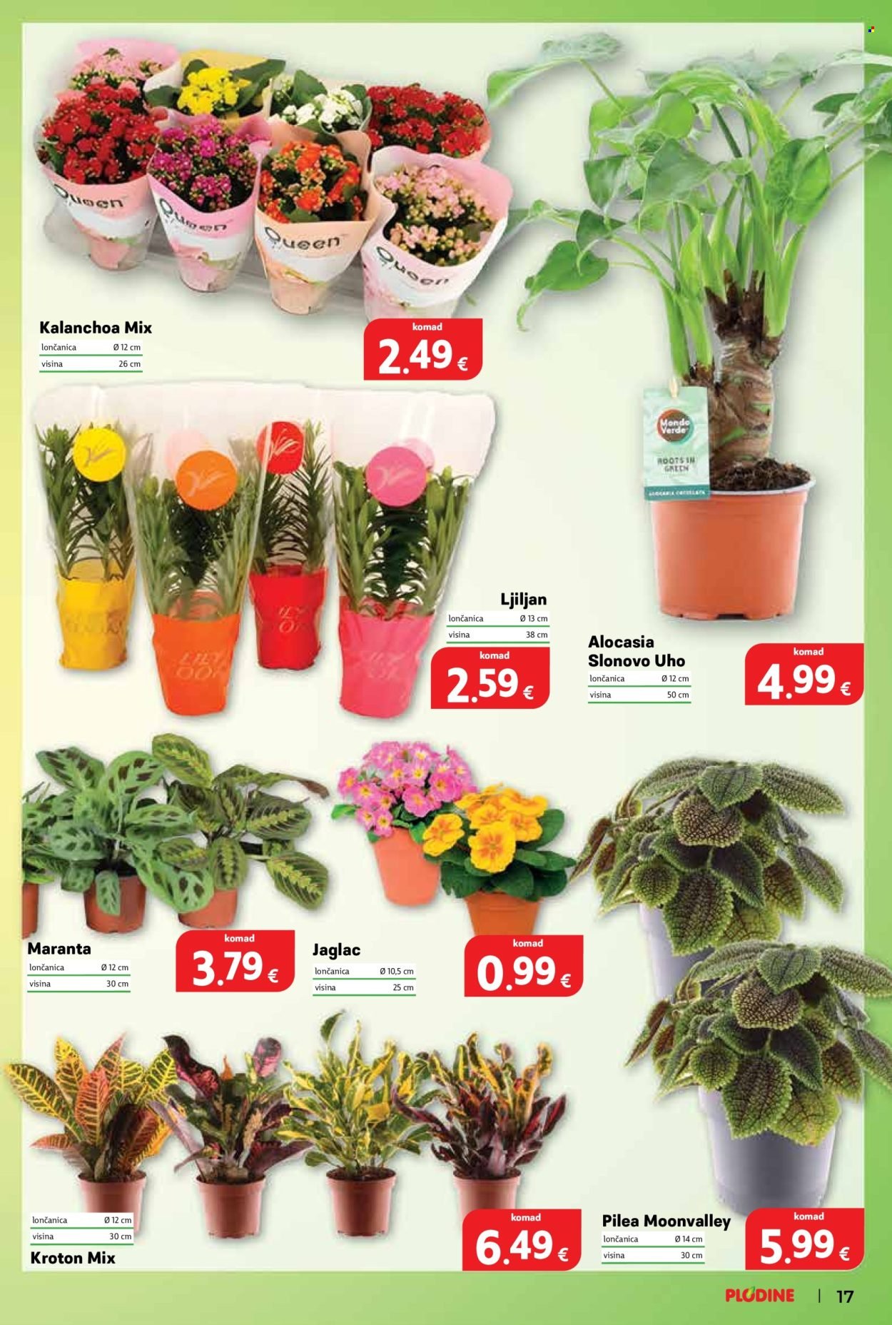 PLODINE katalog - Od srijede 07.01.2026.