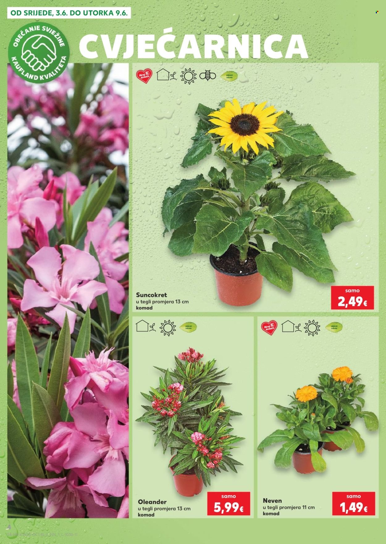KAUFLAND katalog - Od srijede 03.06.2026.
