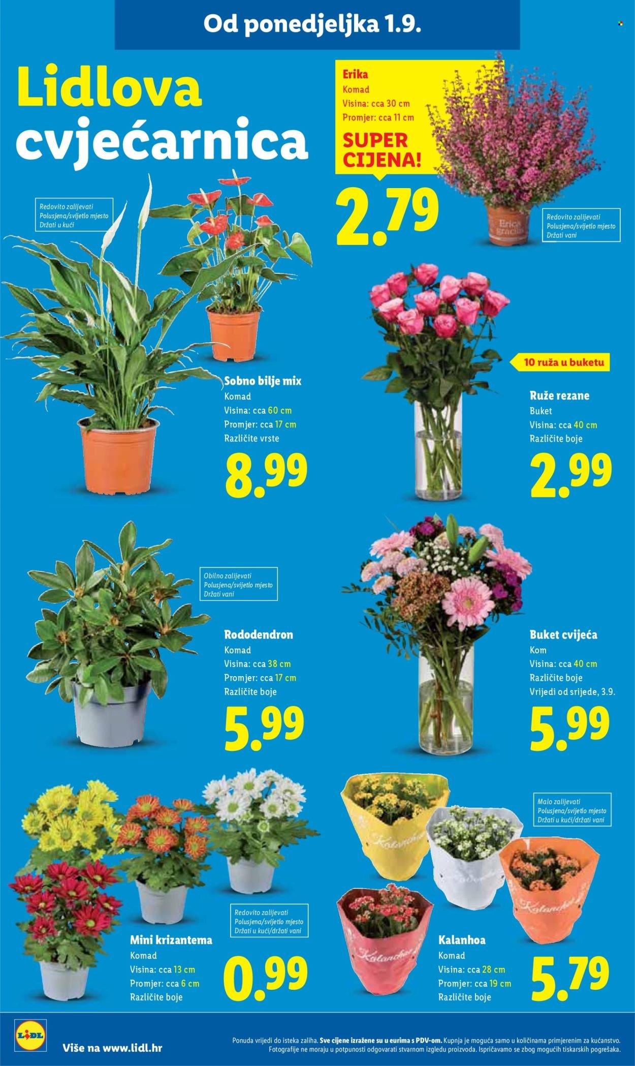 LIDL katalog - Od četvrtka 04.09.2025.
