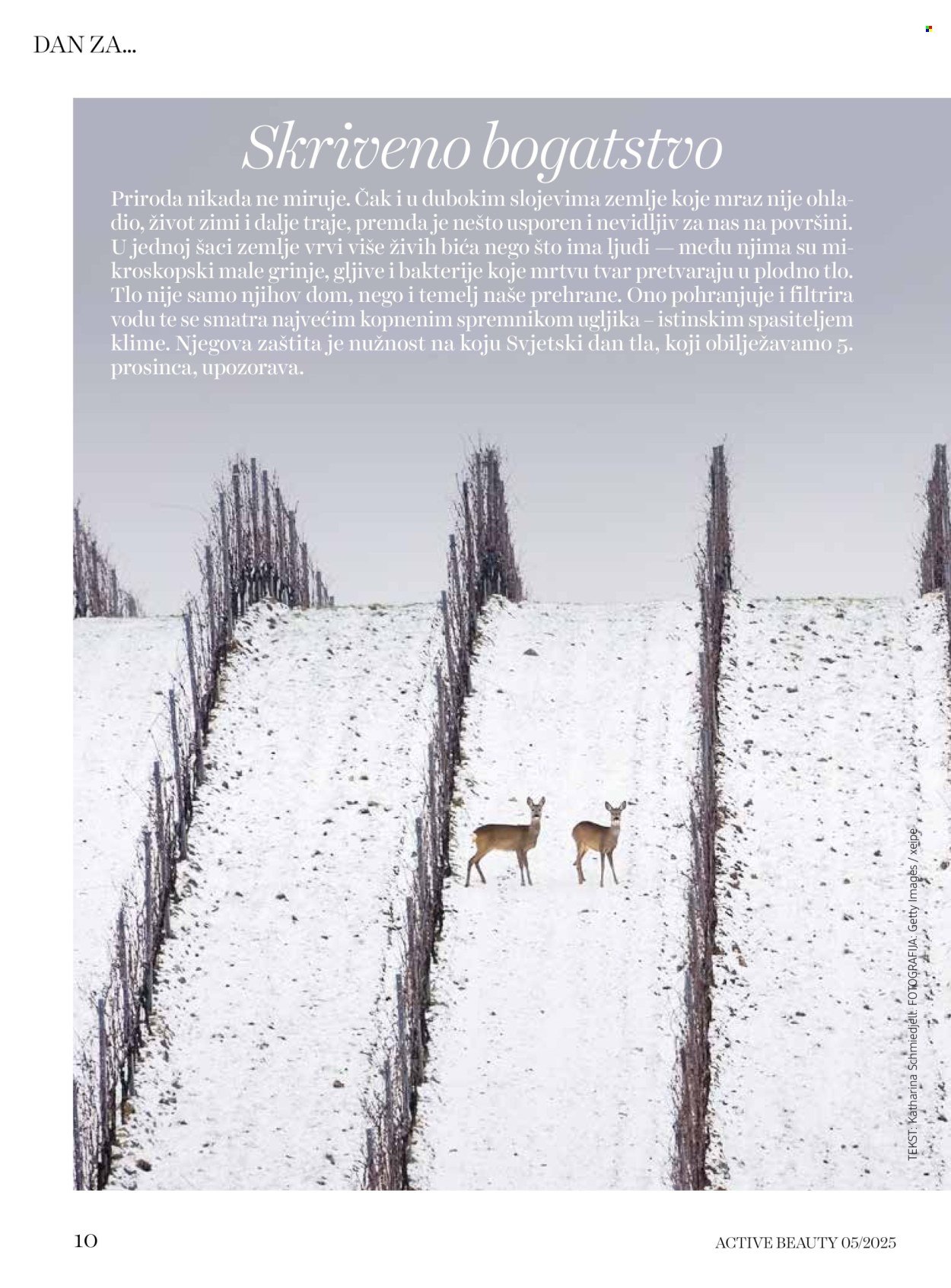 DM katalog - ACTIVE BEAUTY časopis