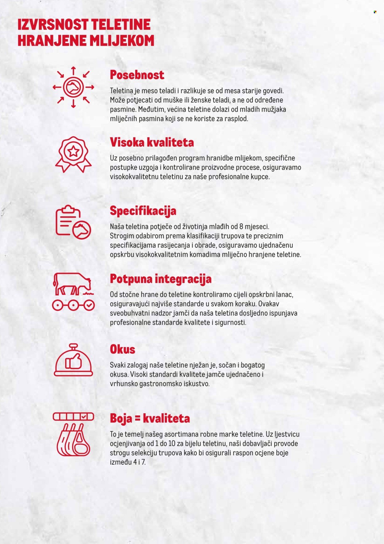 METRO katalog - Teletina - Special