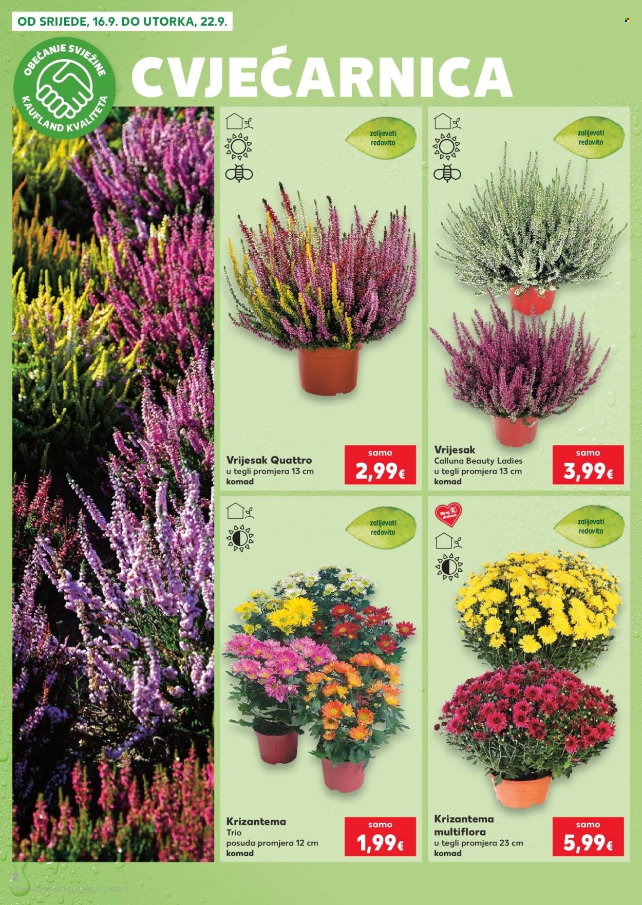 KAUFLAND katalog - Od srijede 16.09.2026.
