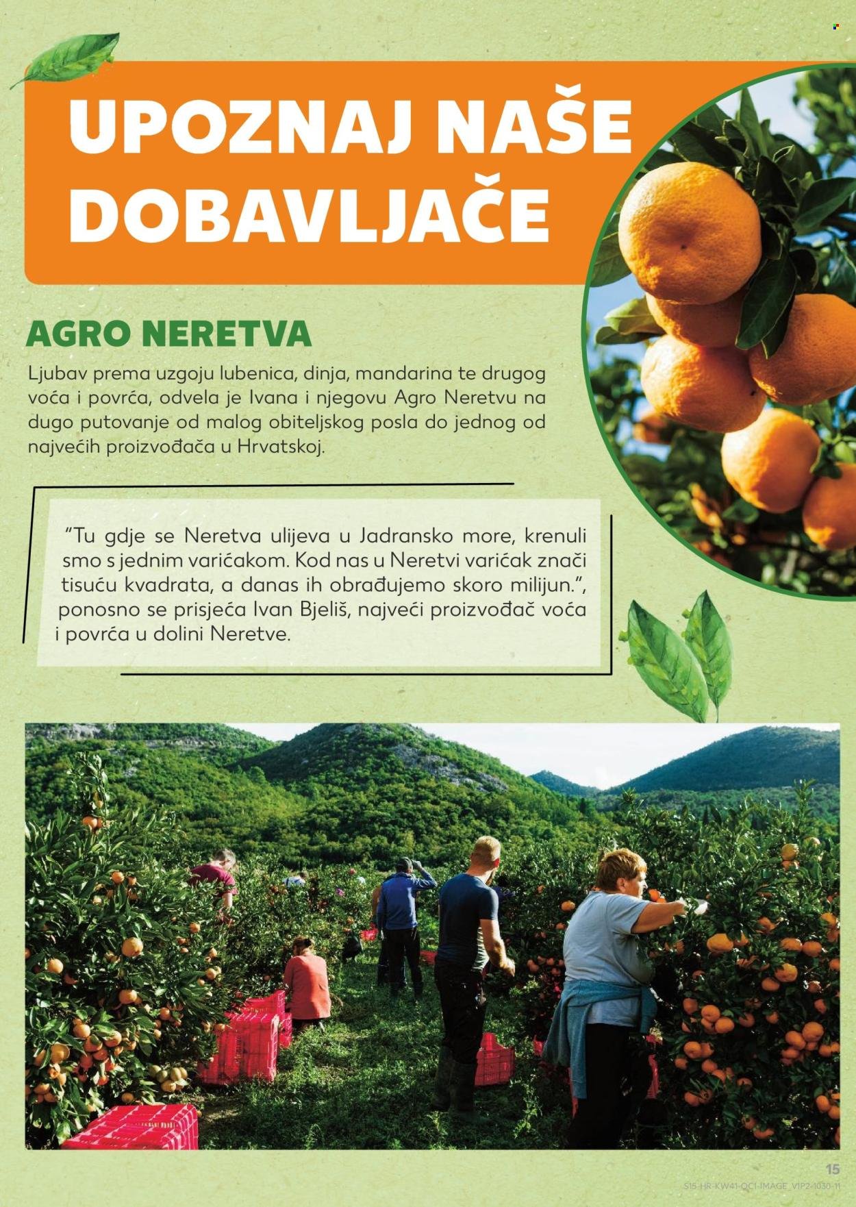 KAUFLAND katalog - Od srijede 08.10.2025.