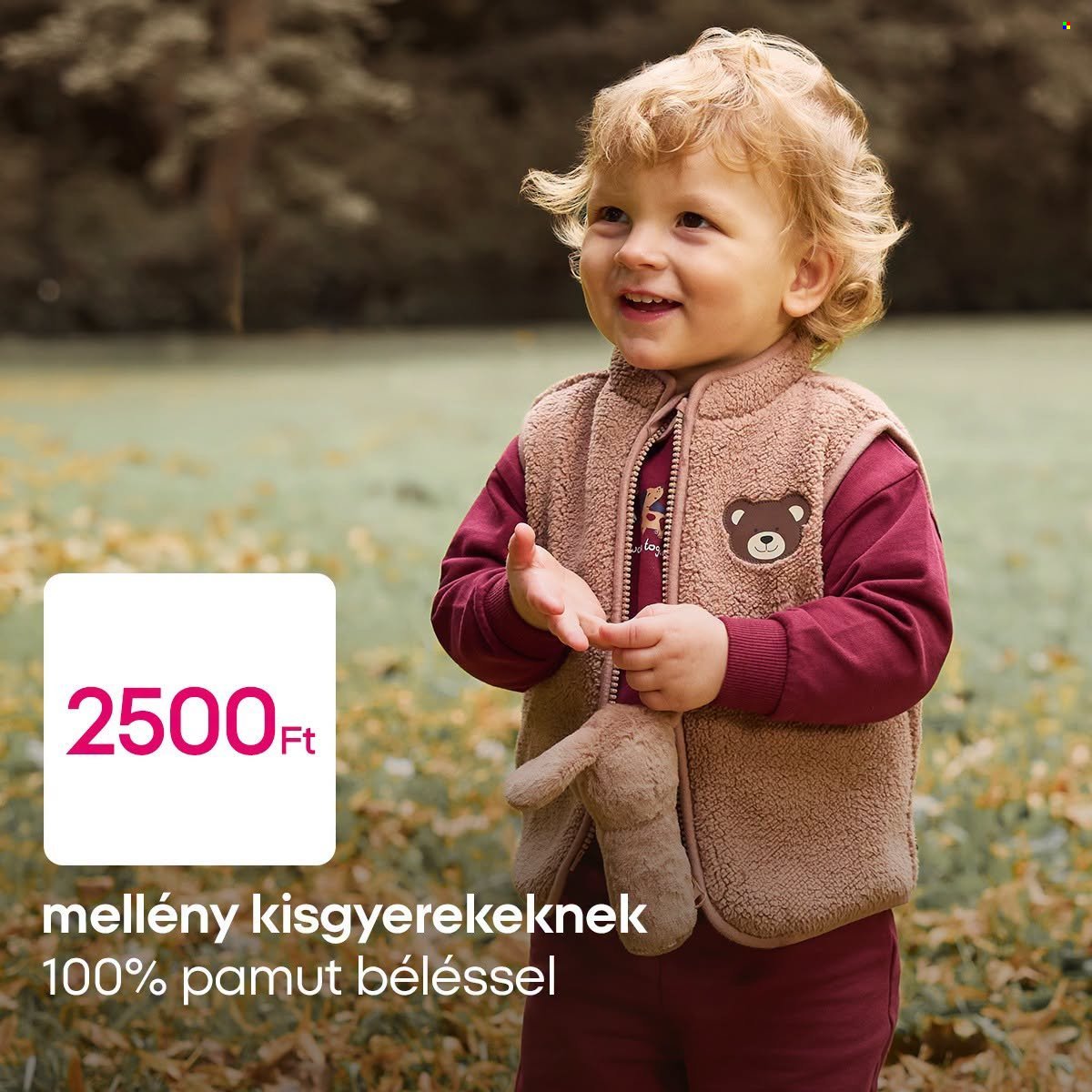 Pepco akciós újság - Otthon az ősz melegében