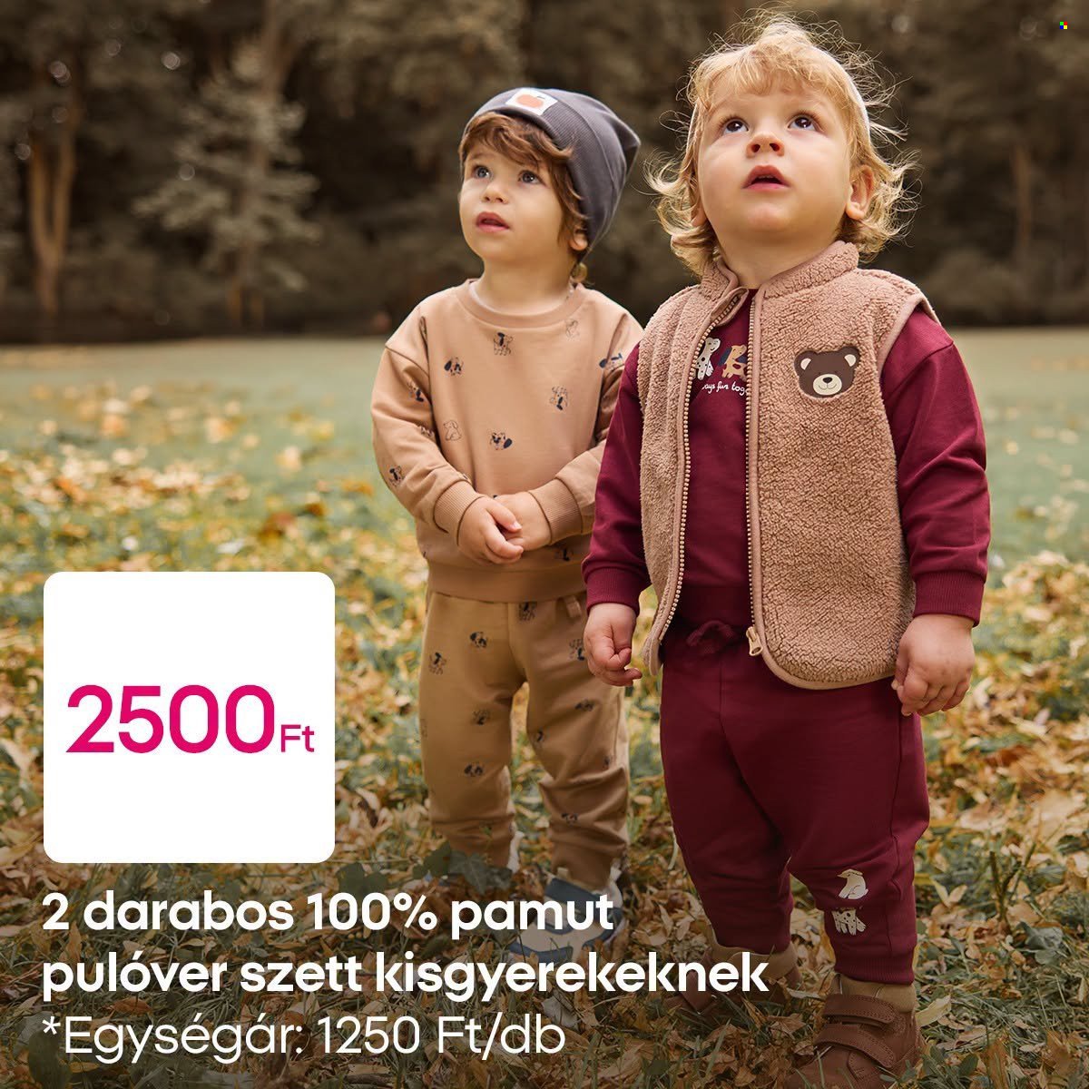 Pepco akciós újság - Otthon az ősz melegében