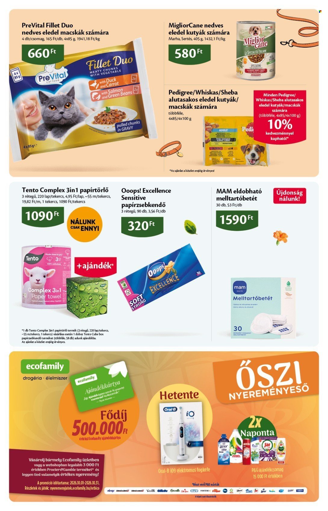 EcoFamily akciós újság 2026.10.01 - 2026.10.11 | Minden Akció