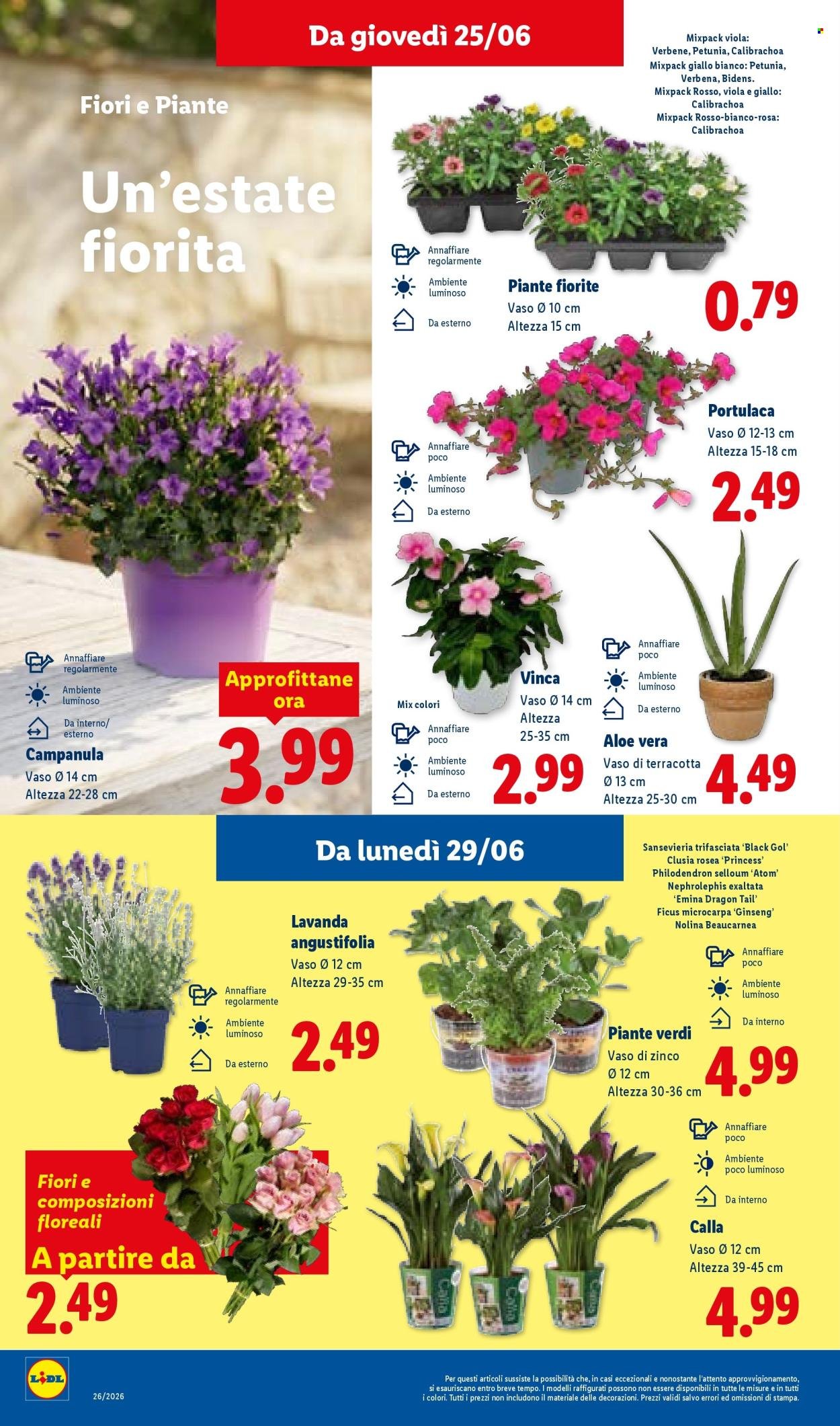 Volantino LIDL - L'estate del risparmio