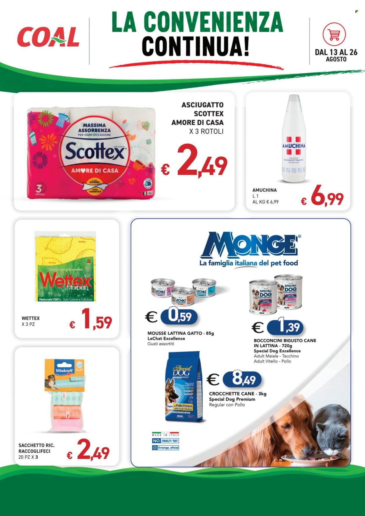 Volantino COAL - Da giovedì 13 2026