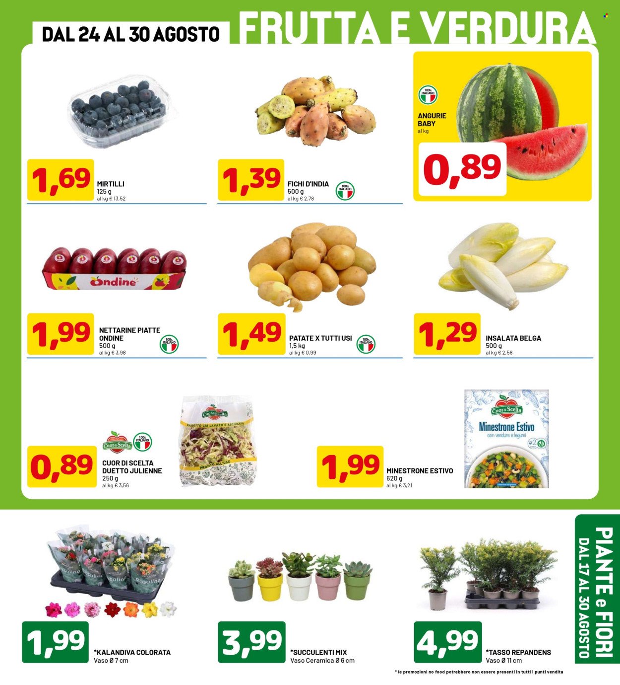 Volantino DPIÙ - SCONTI FINO AL 50%