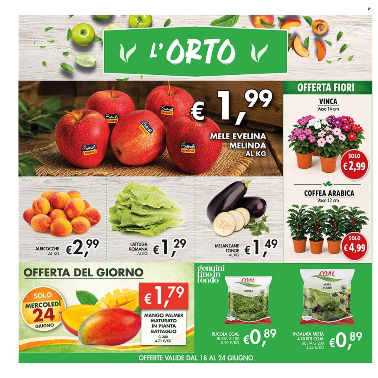 Volantino COAL - Da giovedì 18 giugno 2026