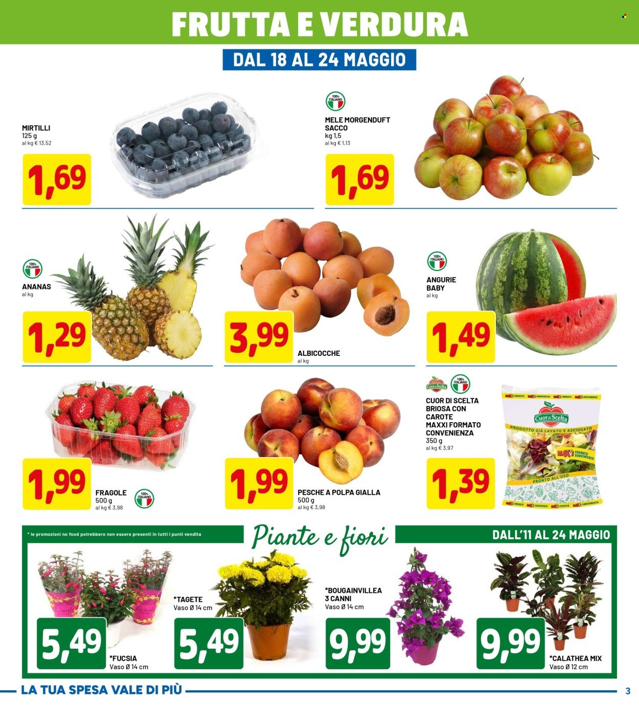 Volantino DPIÙ - Tanti Prodotti (2026-05-11 - 2026-05-24)