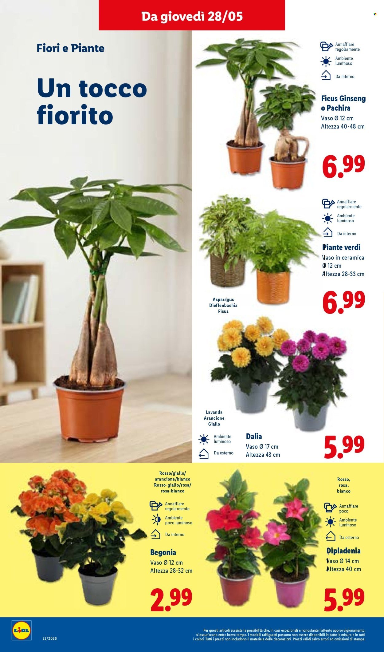 Volantino LIDL - Da giovedì 28 maggio 2026 (2026-05-28 - 2026-06-03)