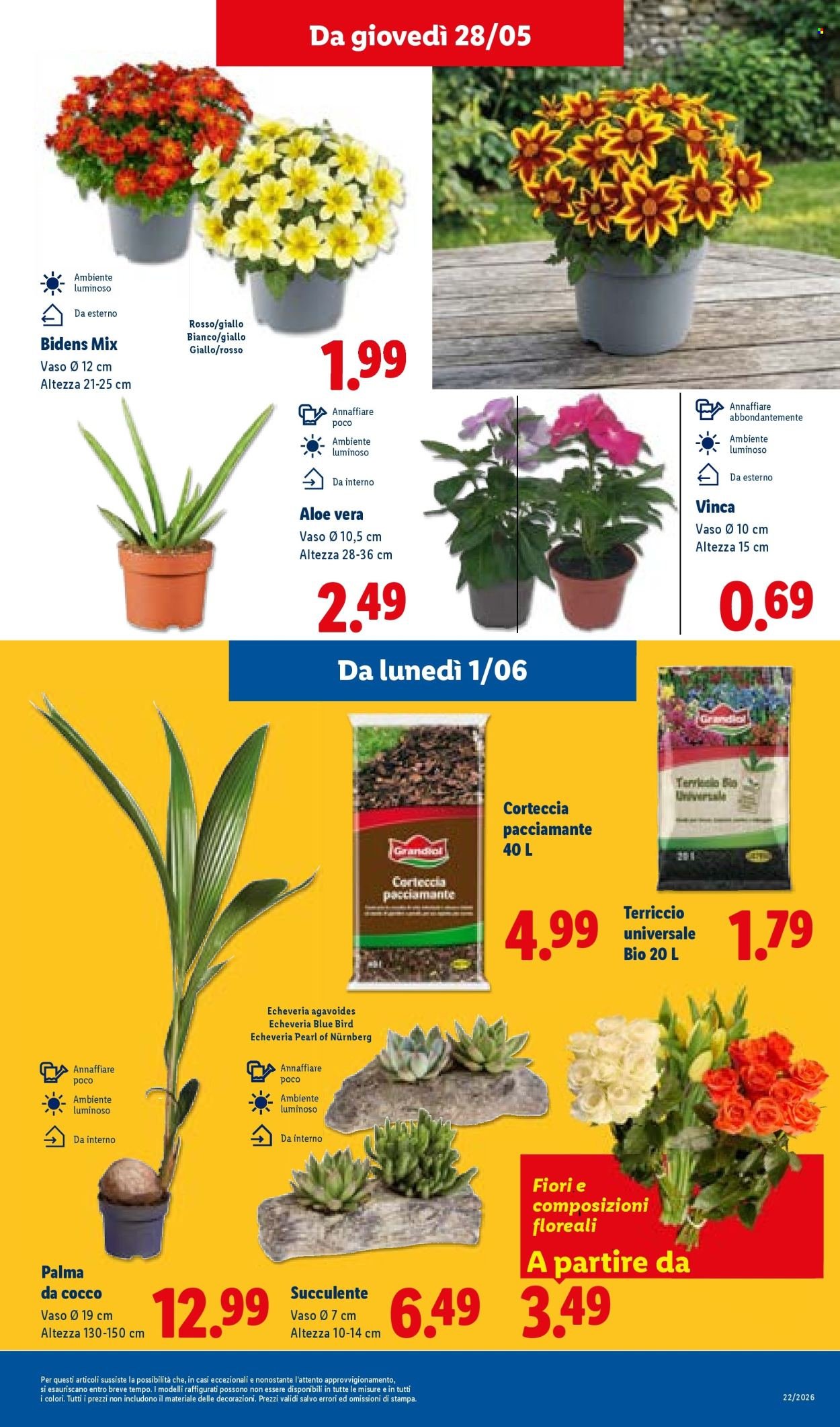 Volantino LIDL - Da giovedì 28 maggio 2026 (2026-05-28 - 2026-06-03)