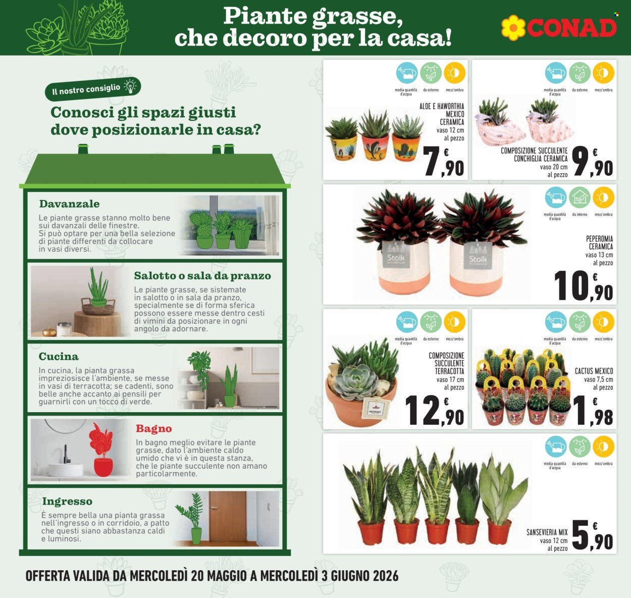 Volantino CONAD - CONVENIENZA (2026-05-20 - 2026-06-03)