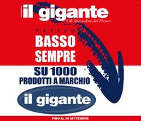 Volantino IL GIGANTE - Prezzo Basso Sempre