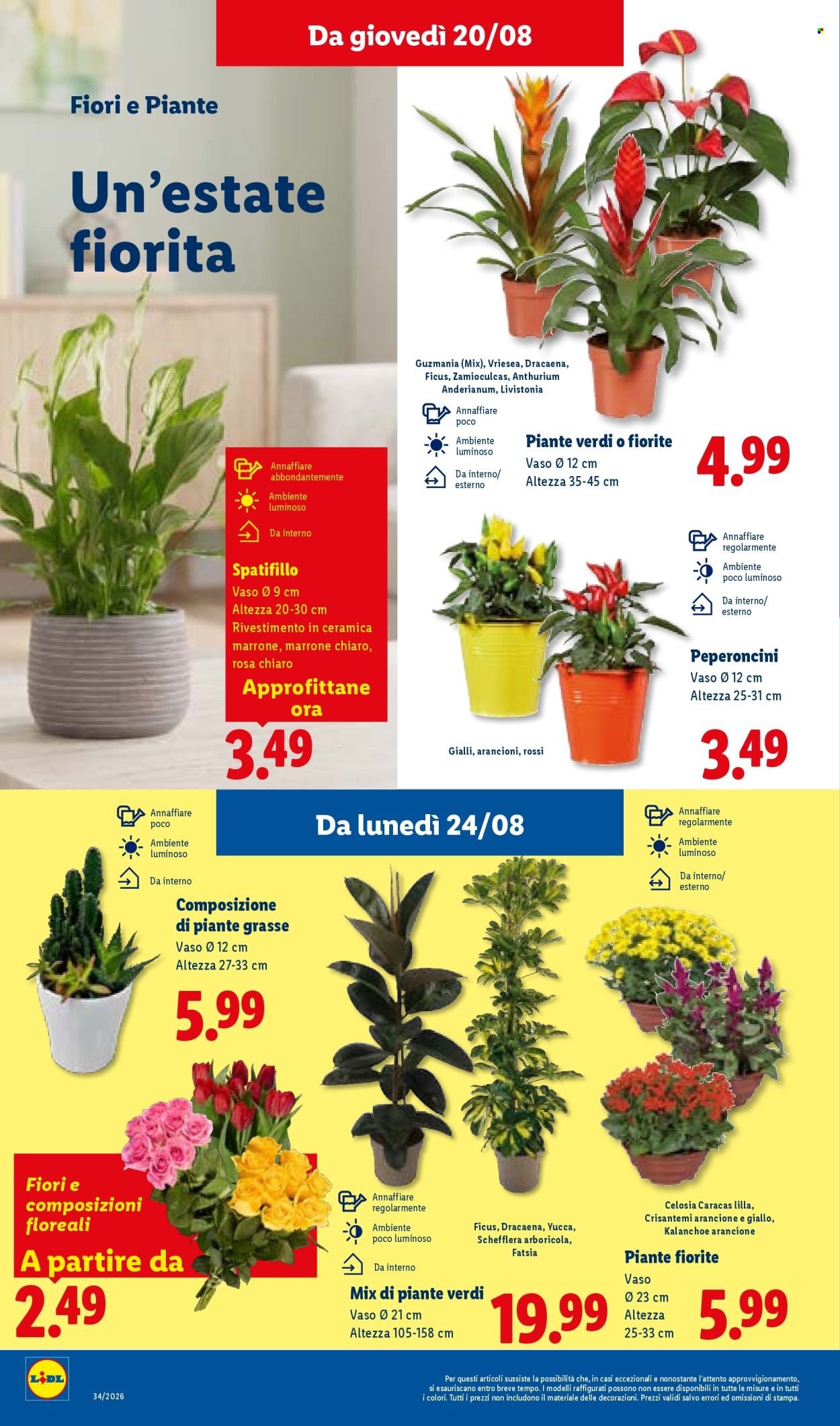 Volantino LIDL - XXL