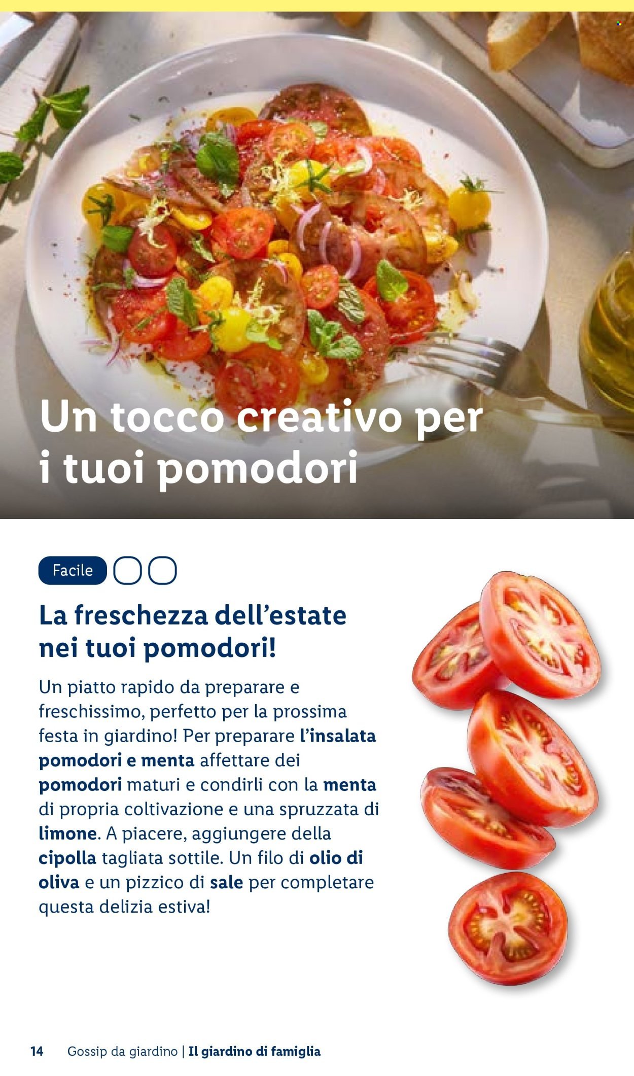 Offerta LIDL - Vivi il tuo giardino (2026-04-22)