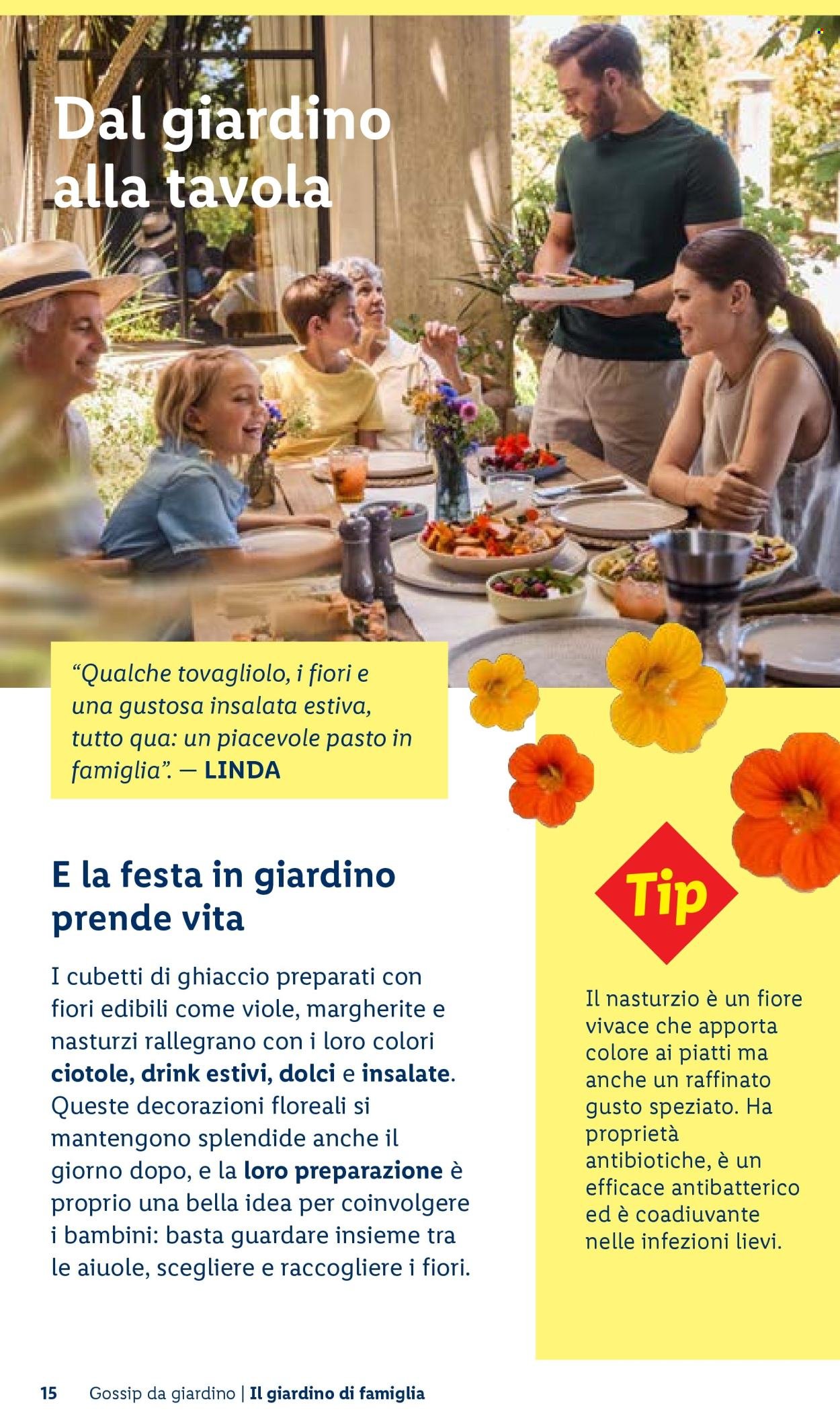 Offerta LIDL - Vivi il tuo giardino (2026-04-22)