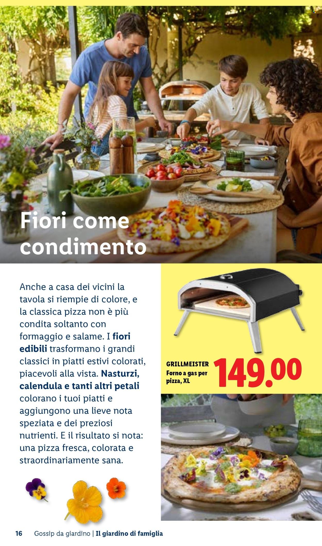 Offerta LIDL - Vivi il tuo giardino (2026-04-22)
