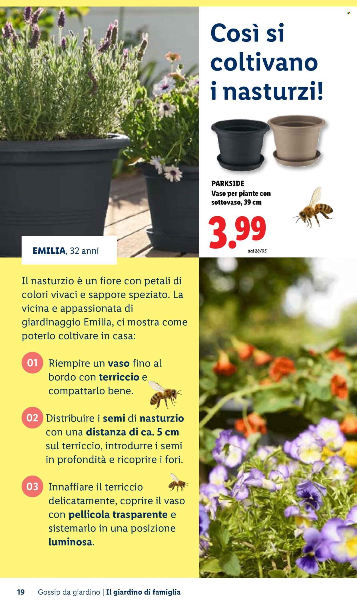 Offerta LIDL - Vivi il tuo giardino (2026-04-22)