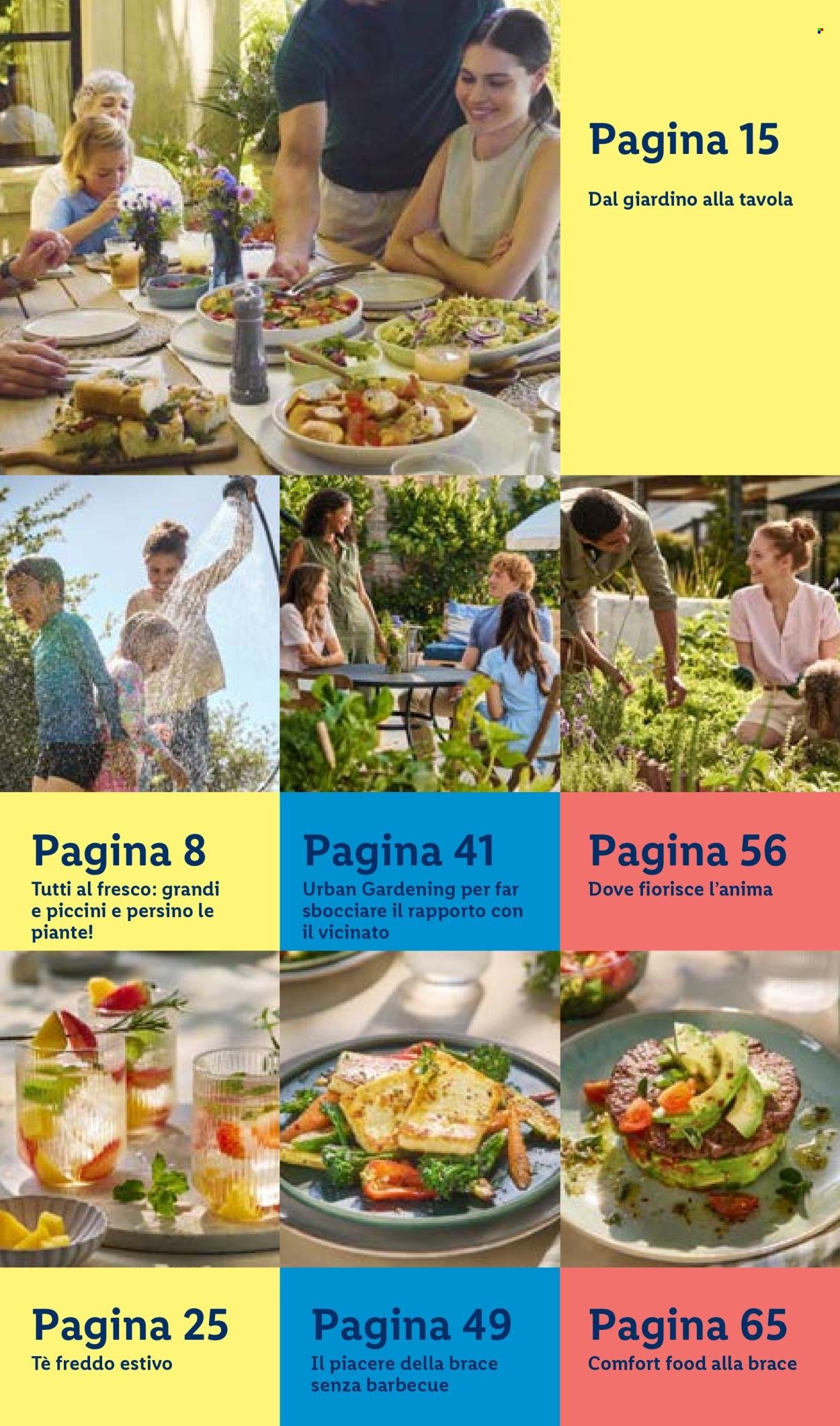 Offerta LIDL - Vivi il tuo giardino (2026-04-22)