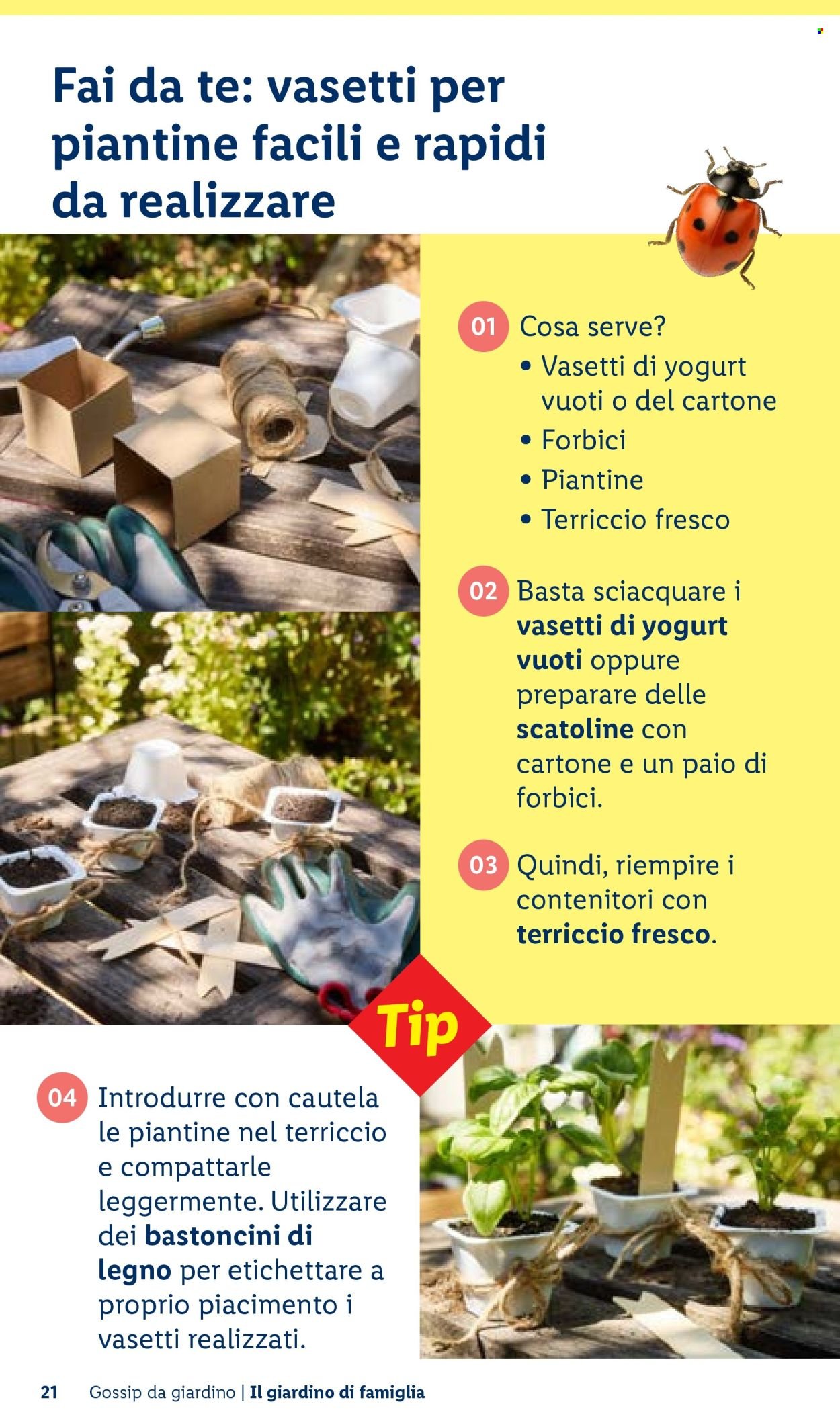 Offerta LIDL - Vivi il tuo giardino (2026-04-22)