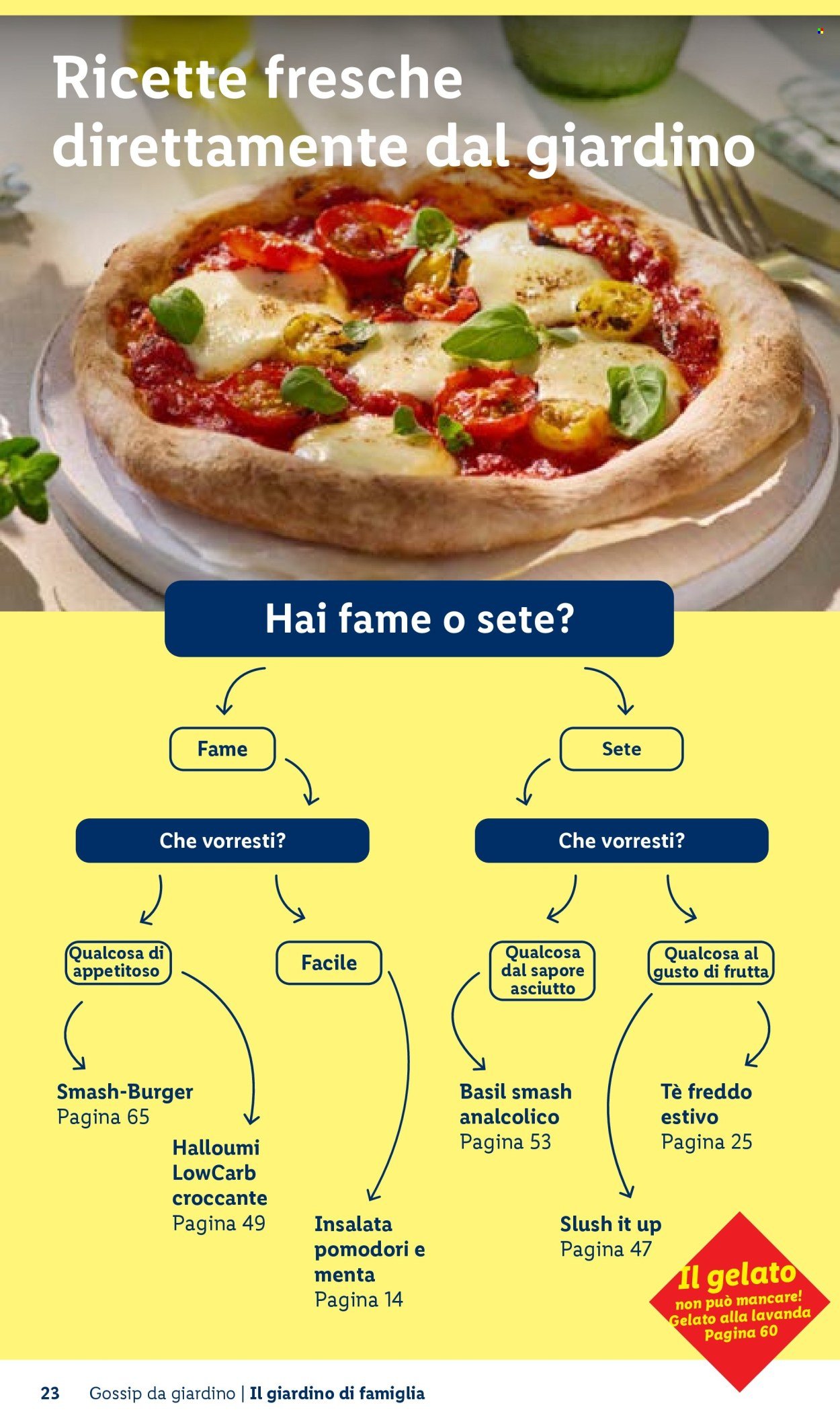 Offerta LIDL - Vivi il tuo giardino (2026-04-22)