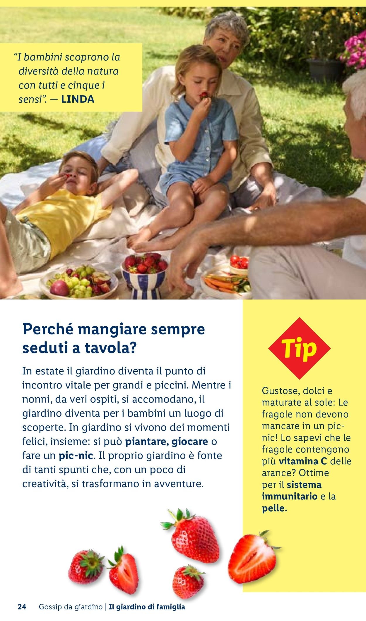 Offerta LIDL - Vivi il tuo giardino (2026-04-22)