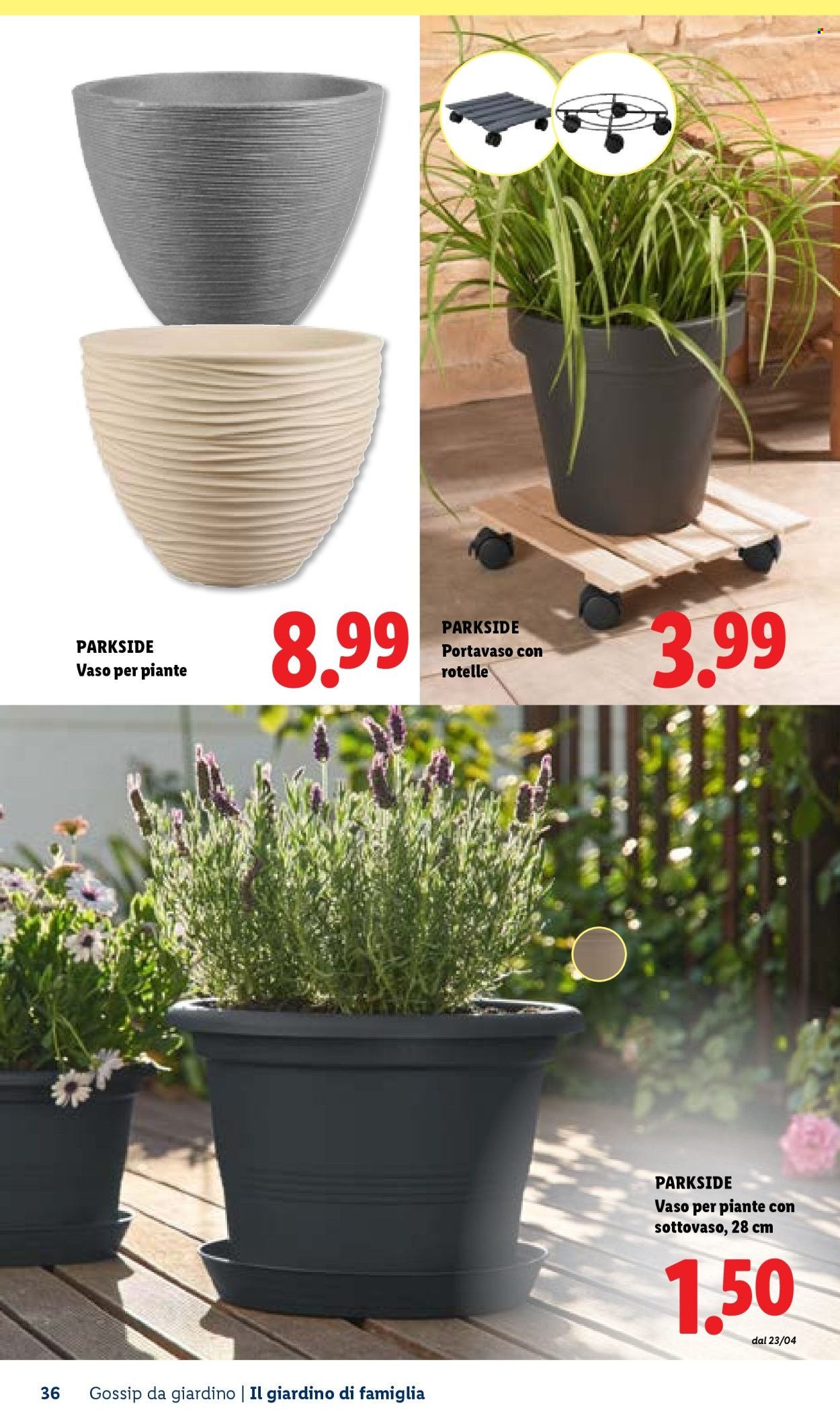 Offerta LIDL - Vivi il tuo giardino (2026-04-22)